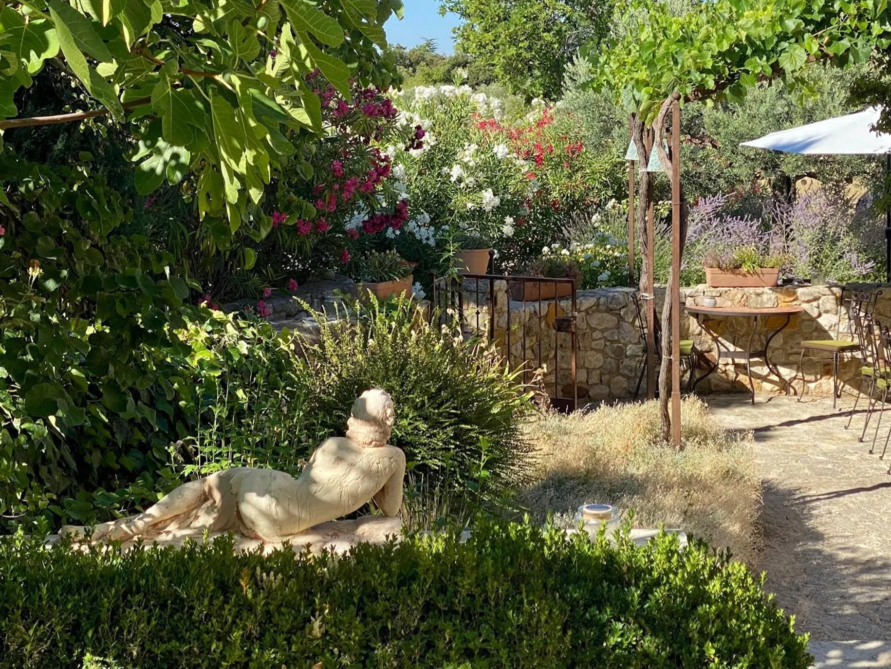 Garden in Mas des Olives