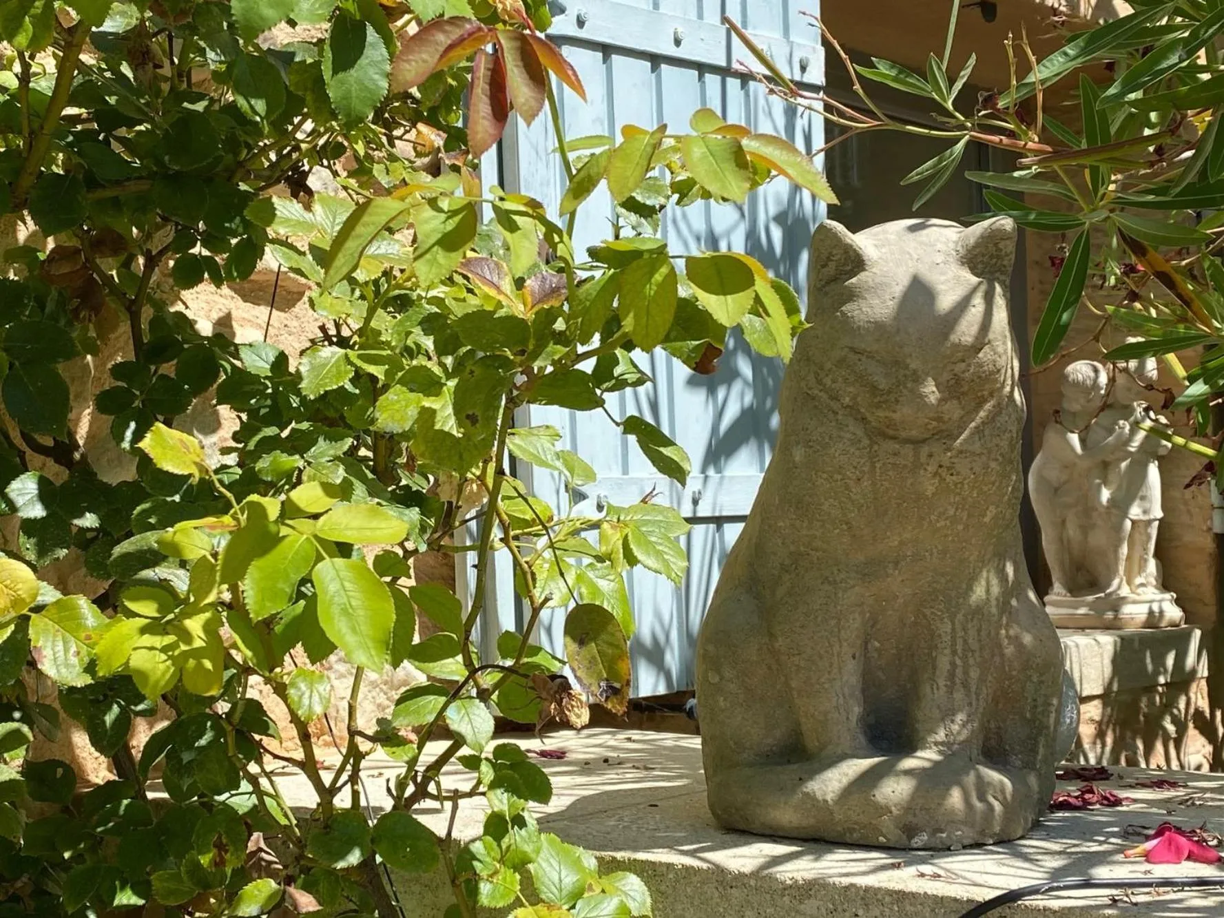 Garden in Mas des Olives