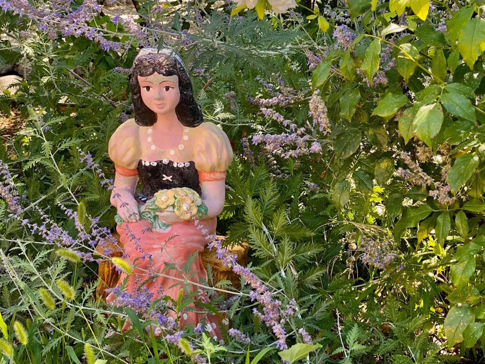 Garden in Mas des Olives