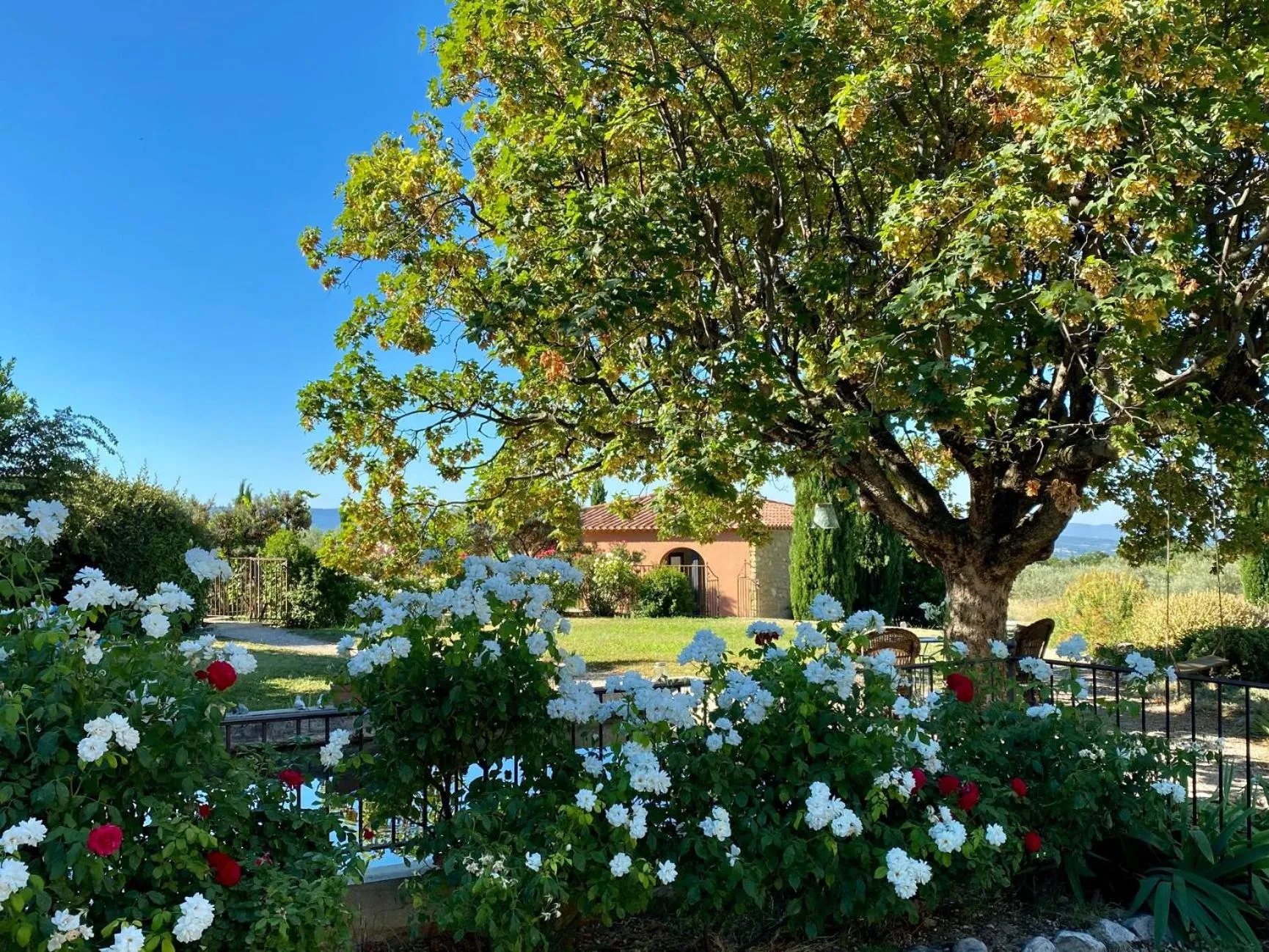 Garden in Mas des Olives