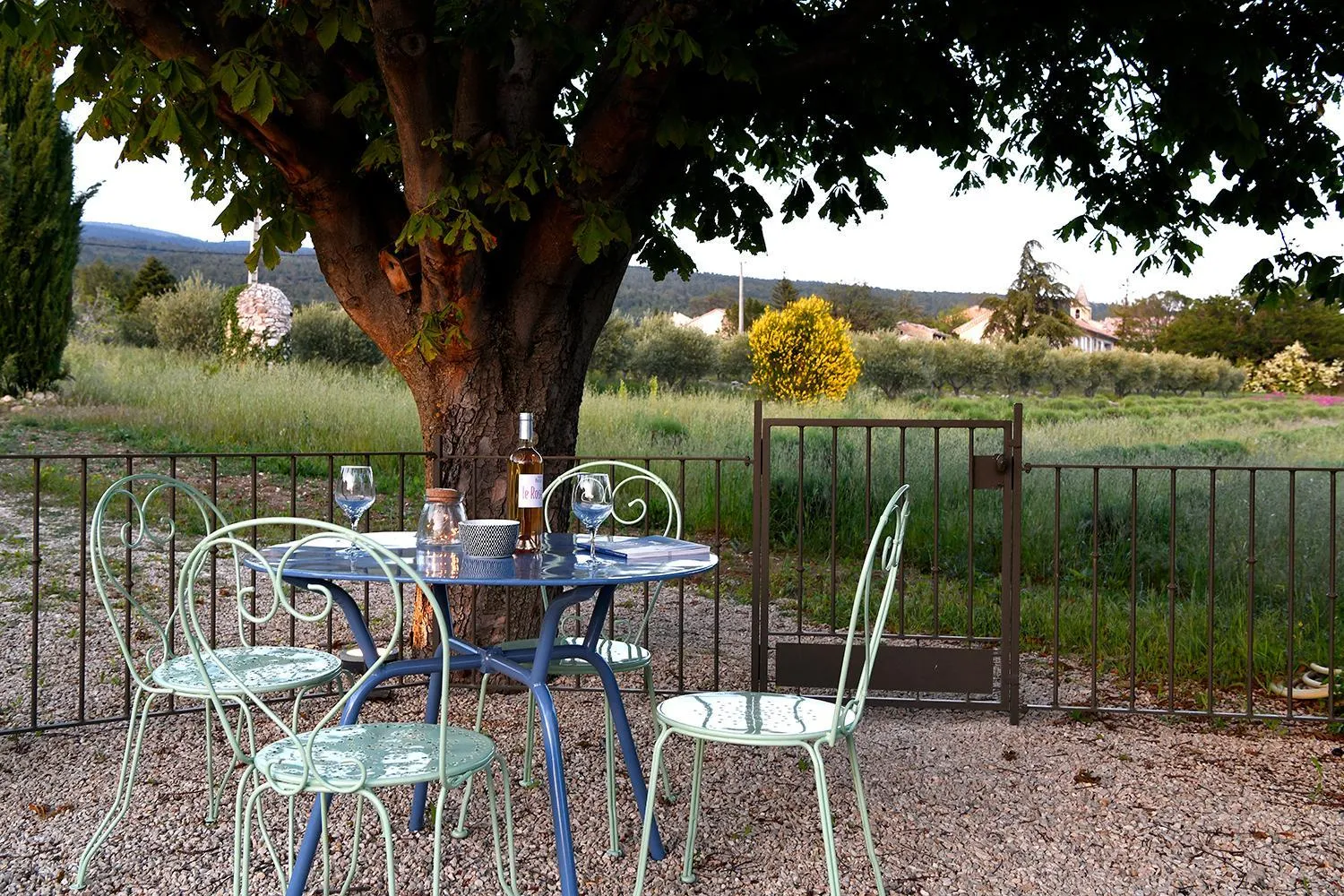 Garden in Mas des Olives
