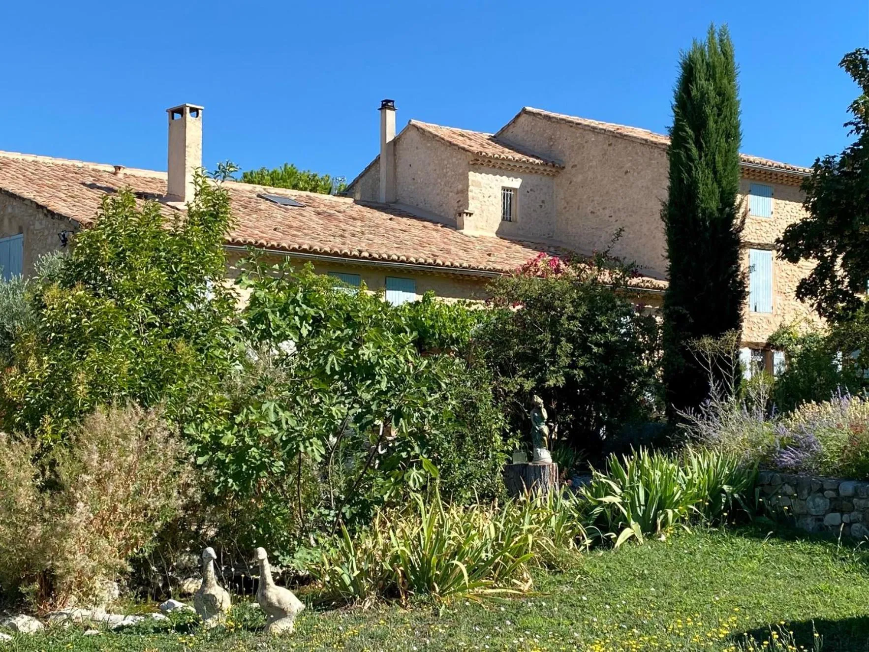 Garden in Mas des Olives