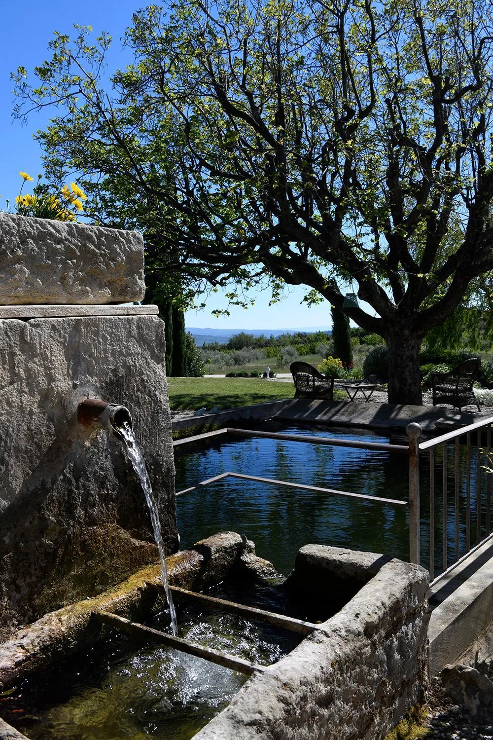 Garden in Mas des Olives