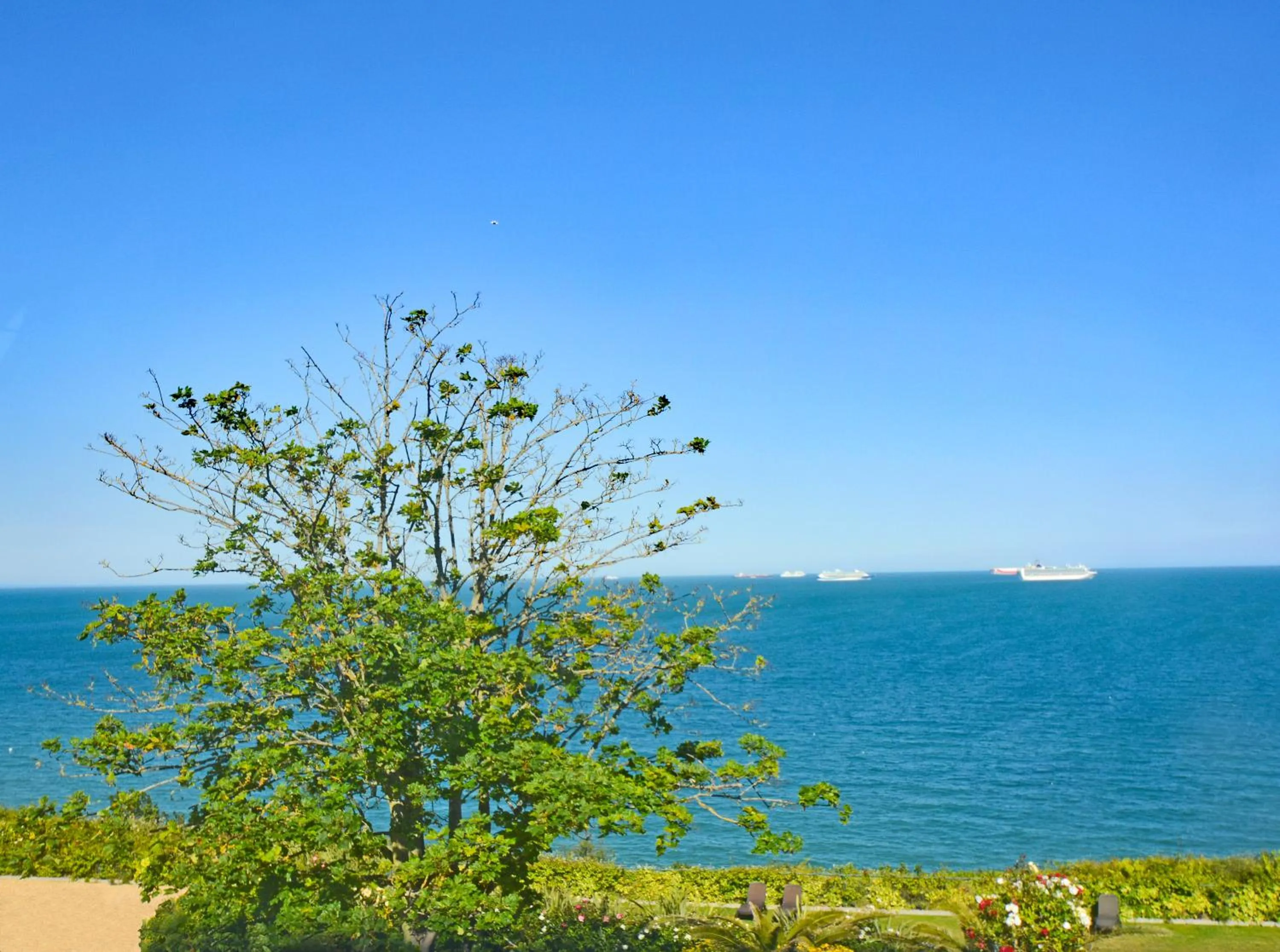 View (from property/room) in Haven Hall Hotel