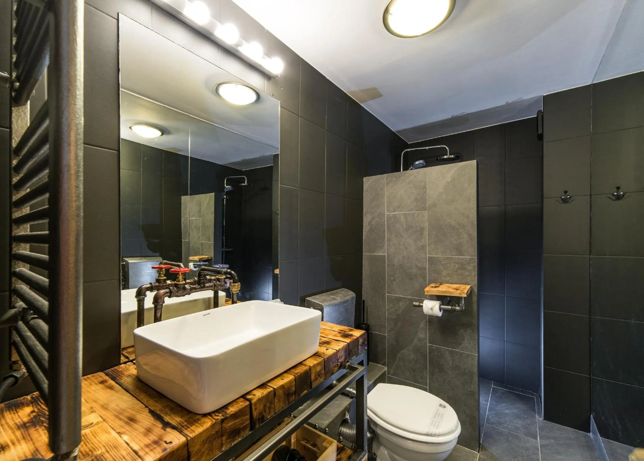 Toilet in Rent in Cluj Apartments