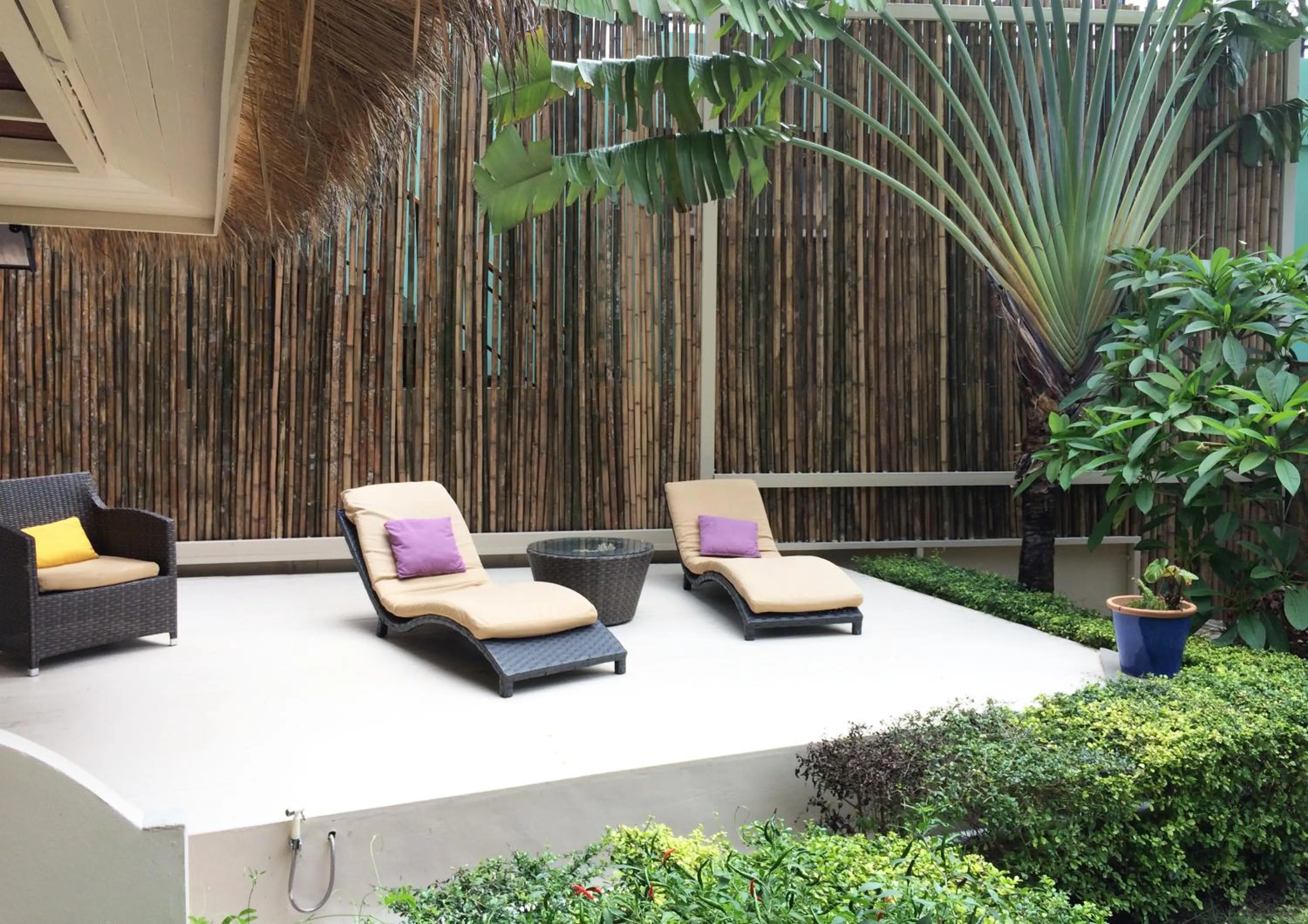 Balcony/Terrace in Mama Beach Residence - Adults Only