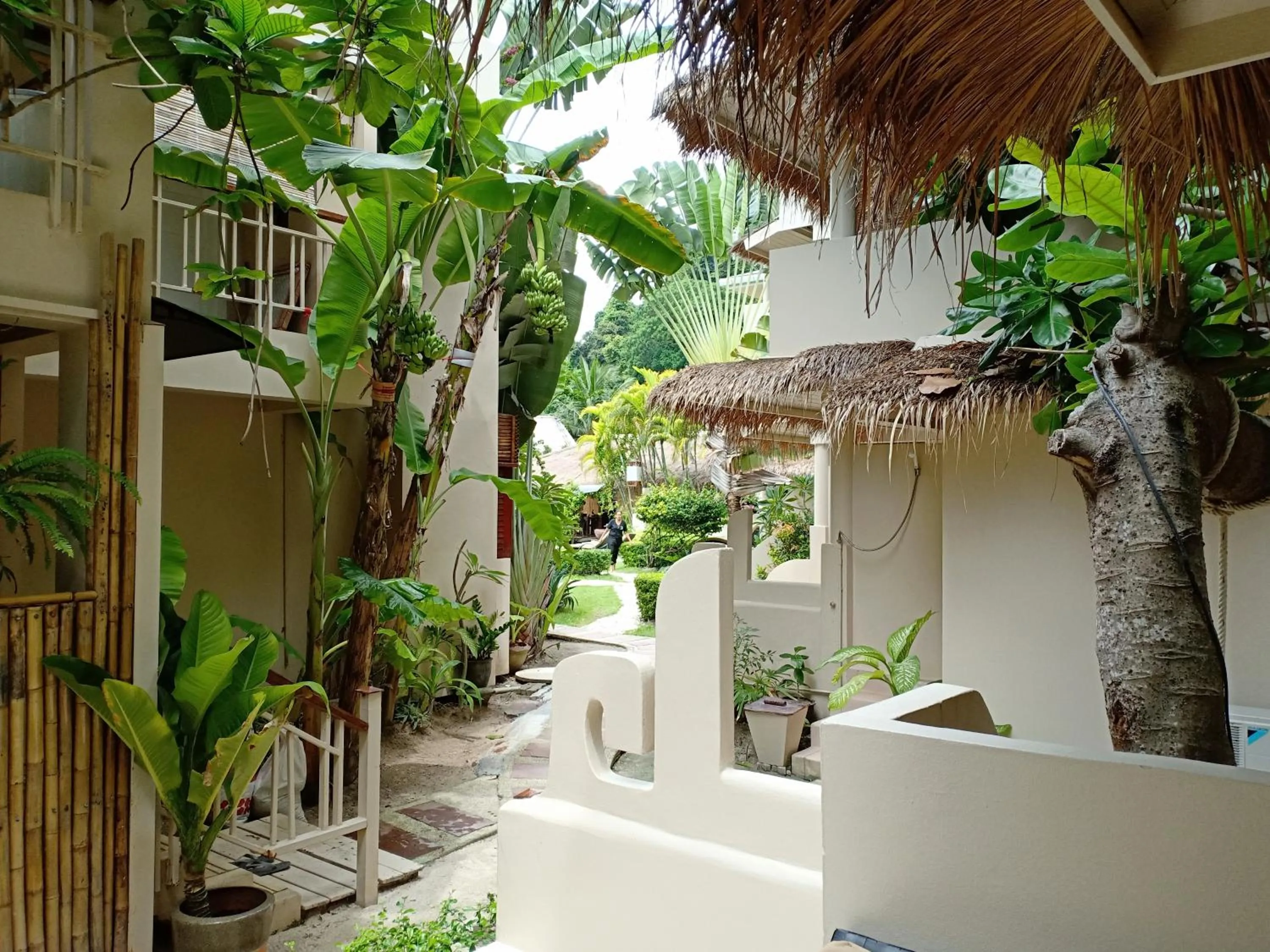 Garden view in Mama Beach Residence - Adults Only