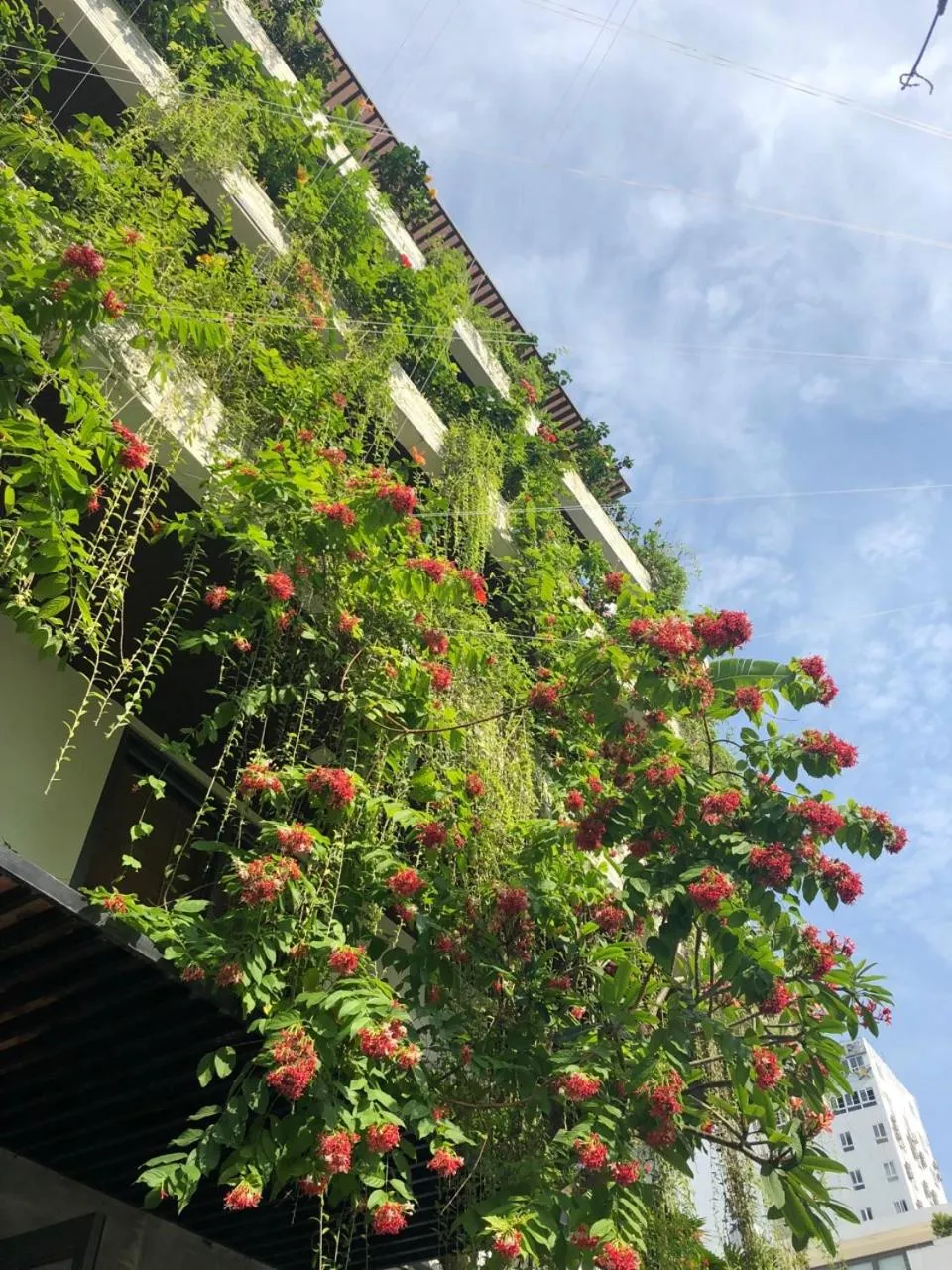 Bird's eye view in John Boutique Villa