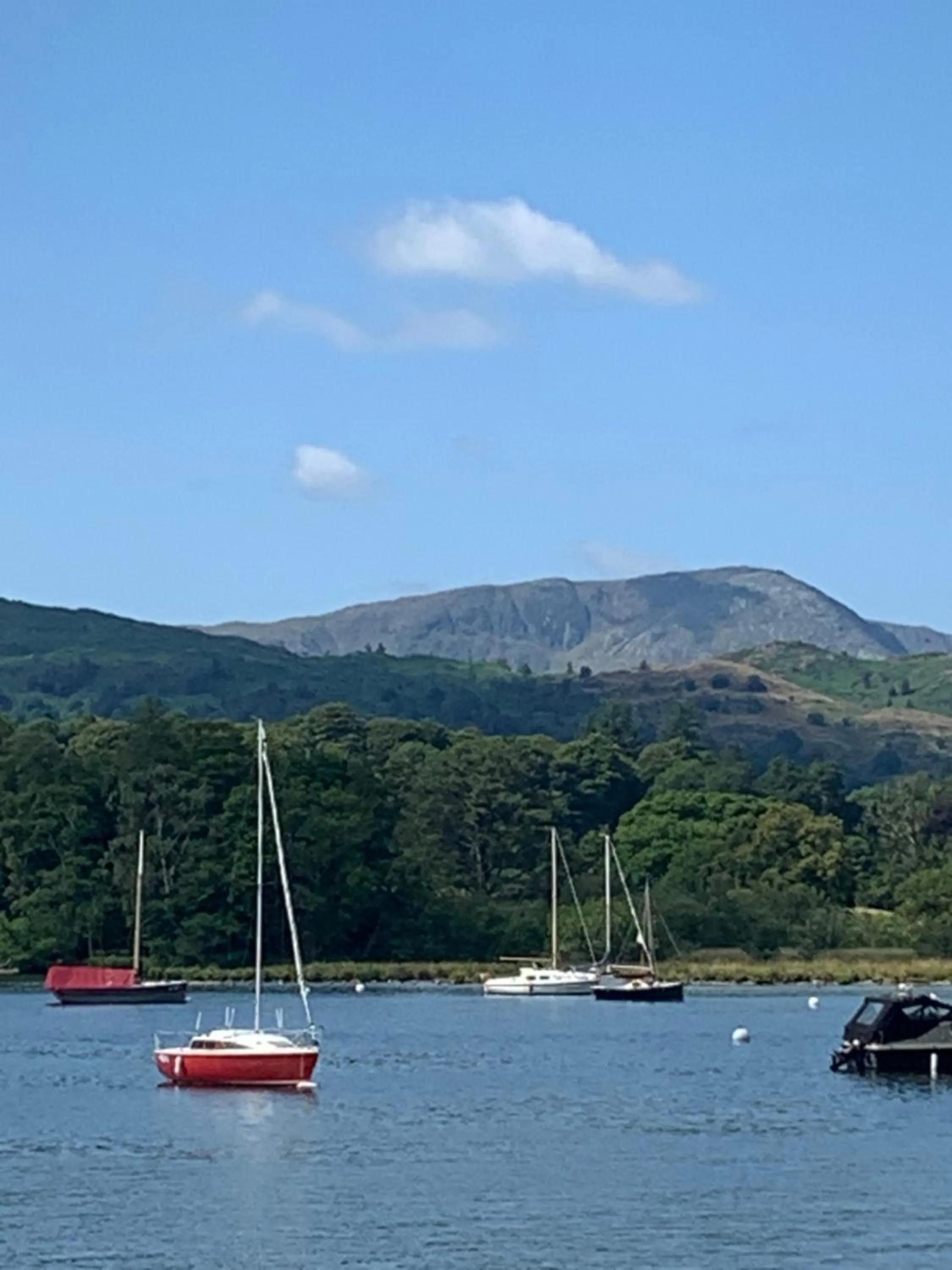 Natural landscape in Hillsdale B&B in Ambleside
