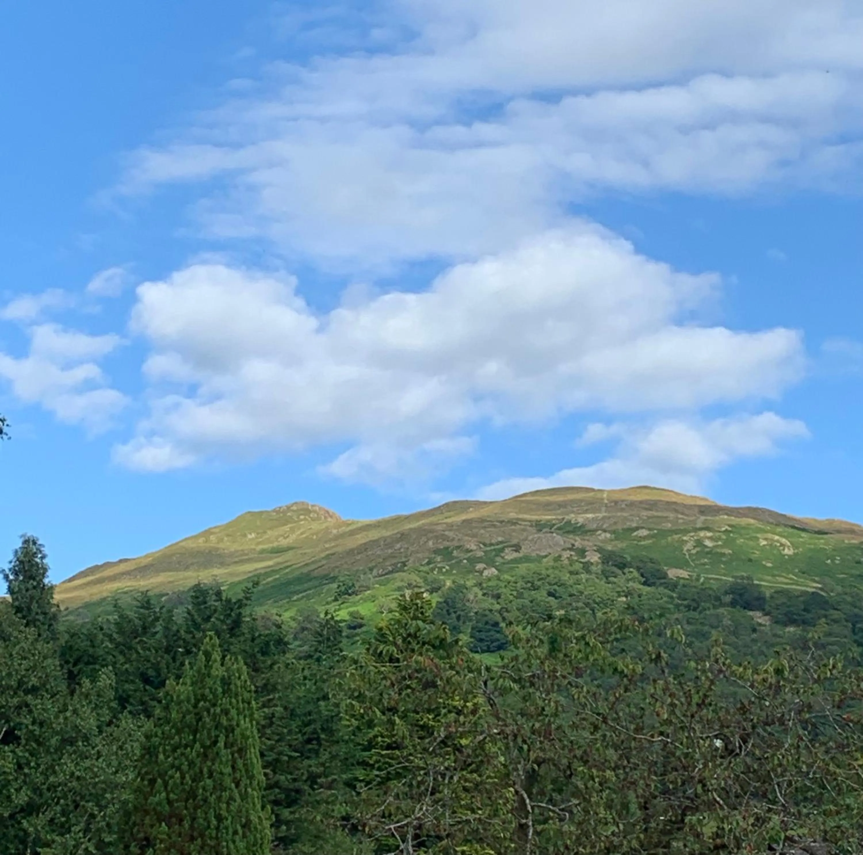 Natural landscape in Hillsdale B&B in Ambleside