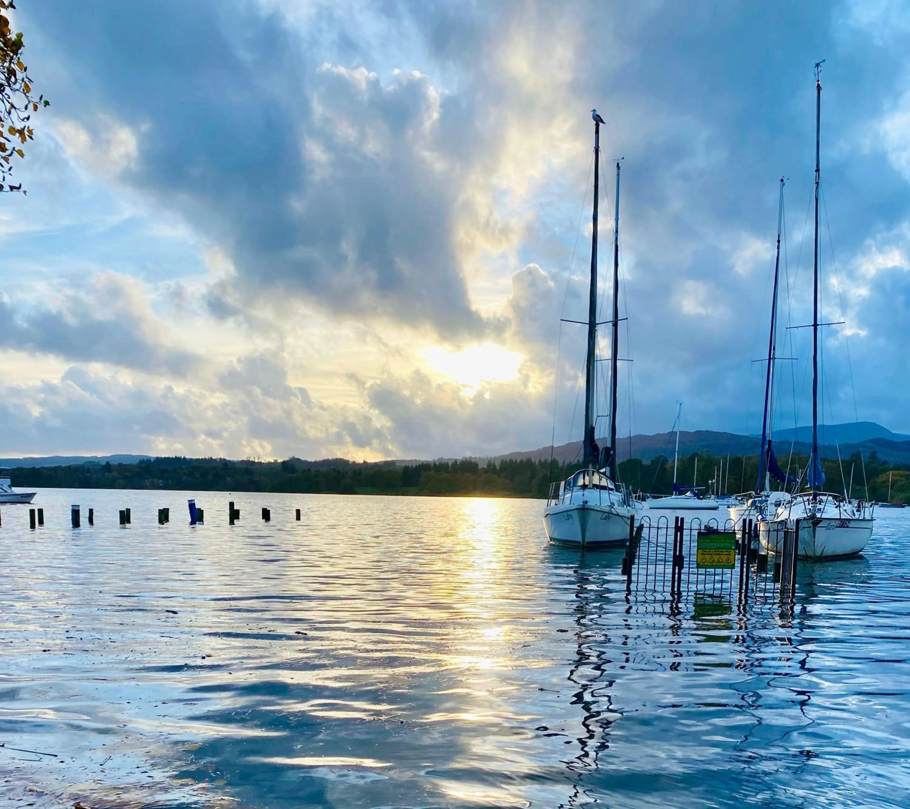 Natural landscape in Hillsdale B&B in Ambleside