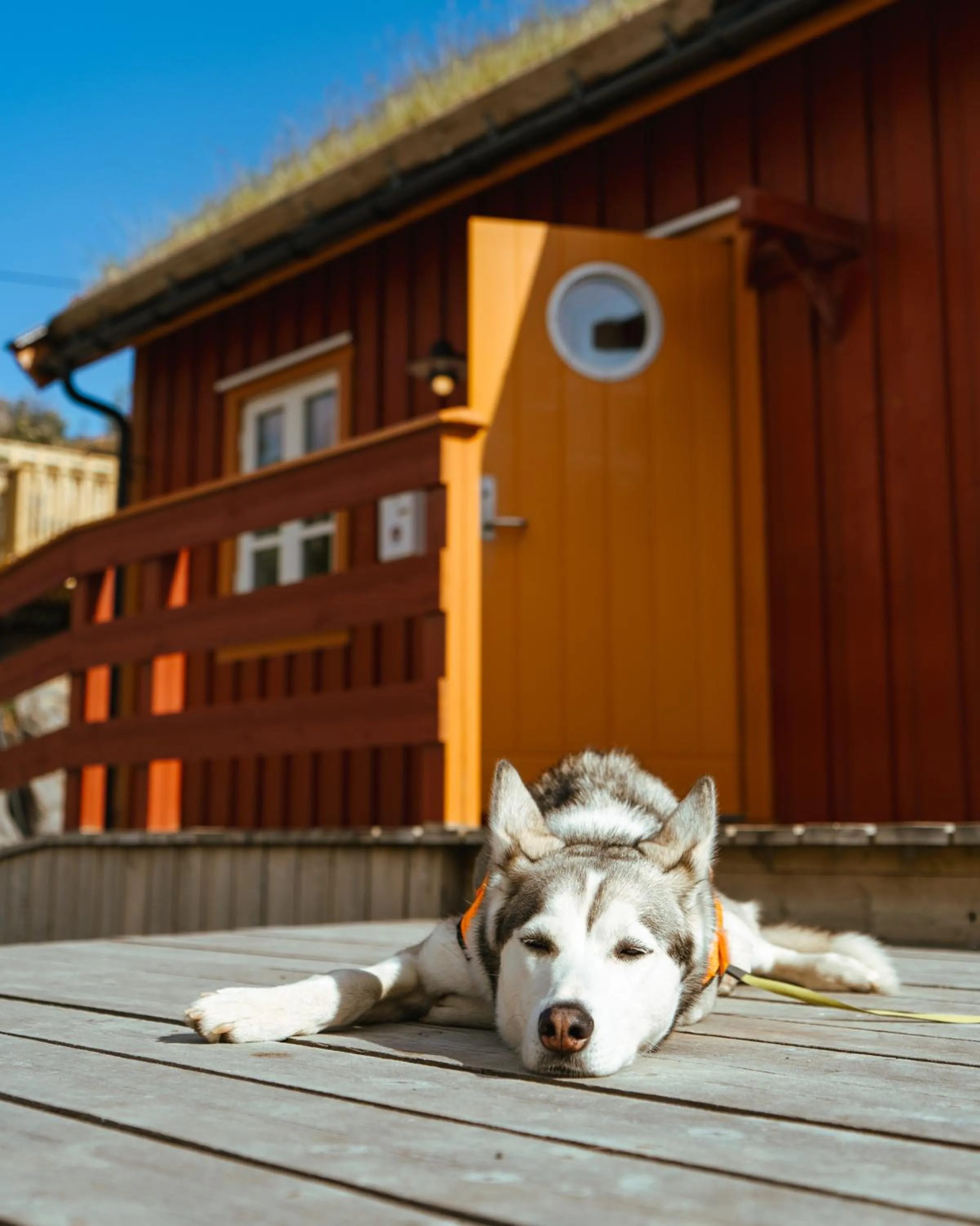 Lobby or reception in Reinefjorden Sjøhus