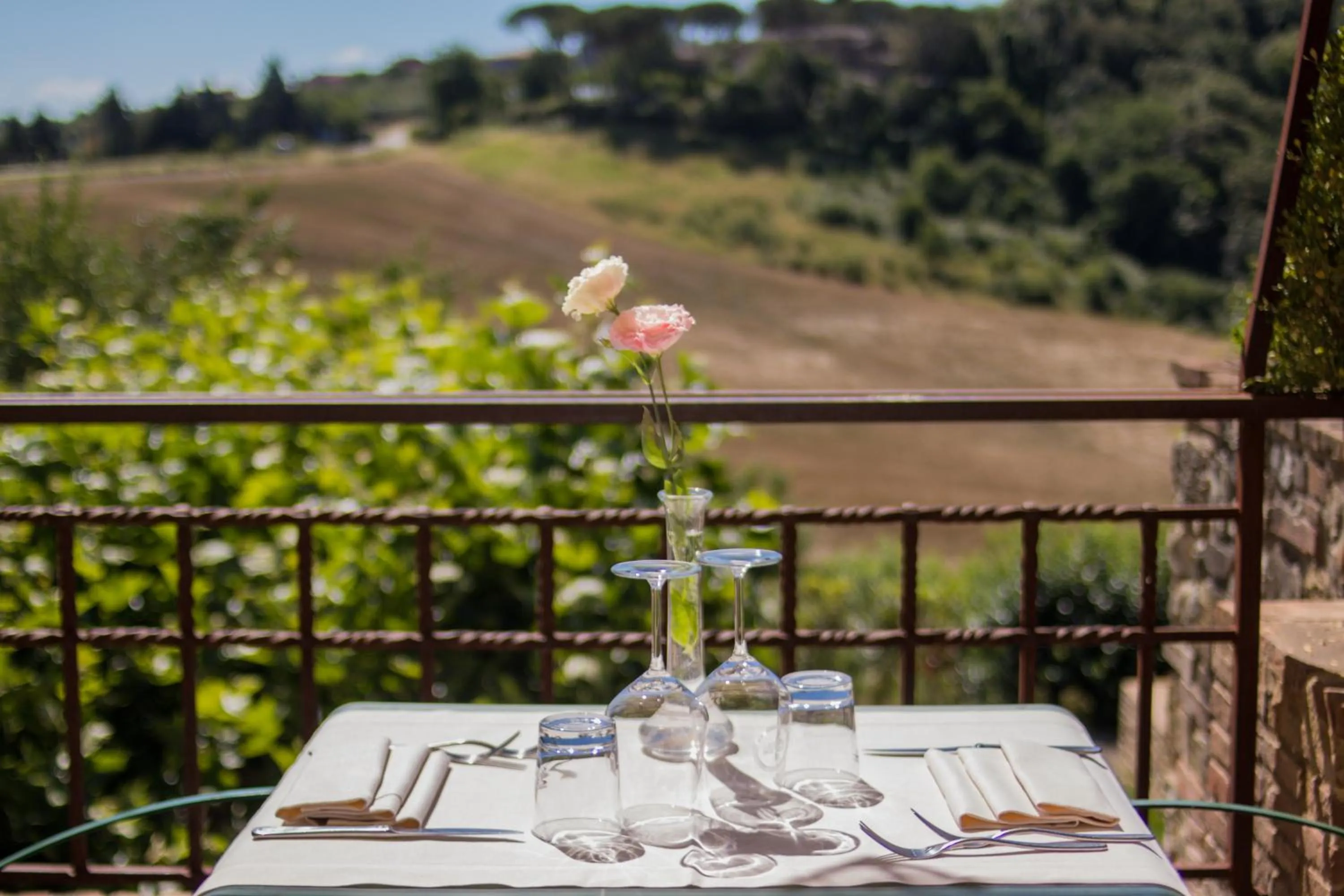 Restaurant/places to eat in Bosco Della Spina