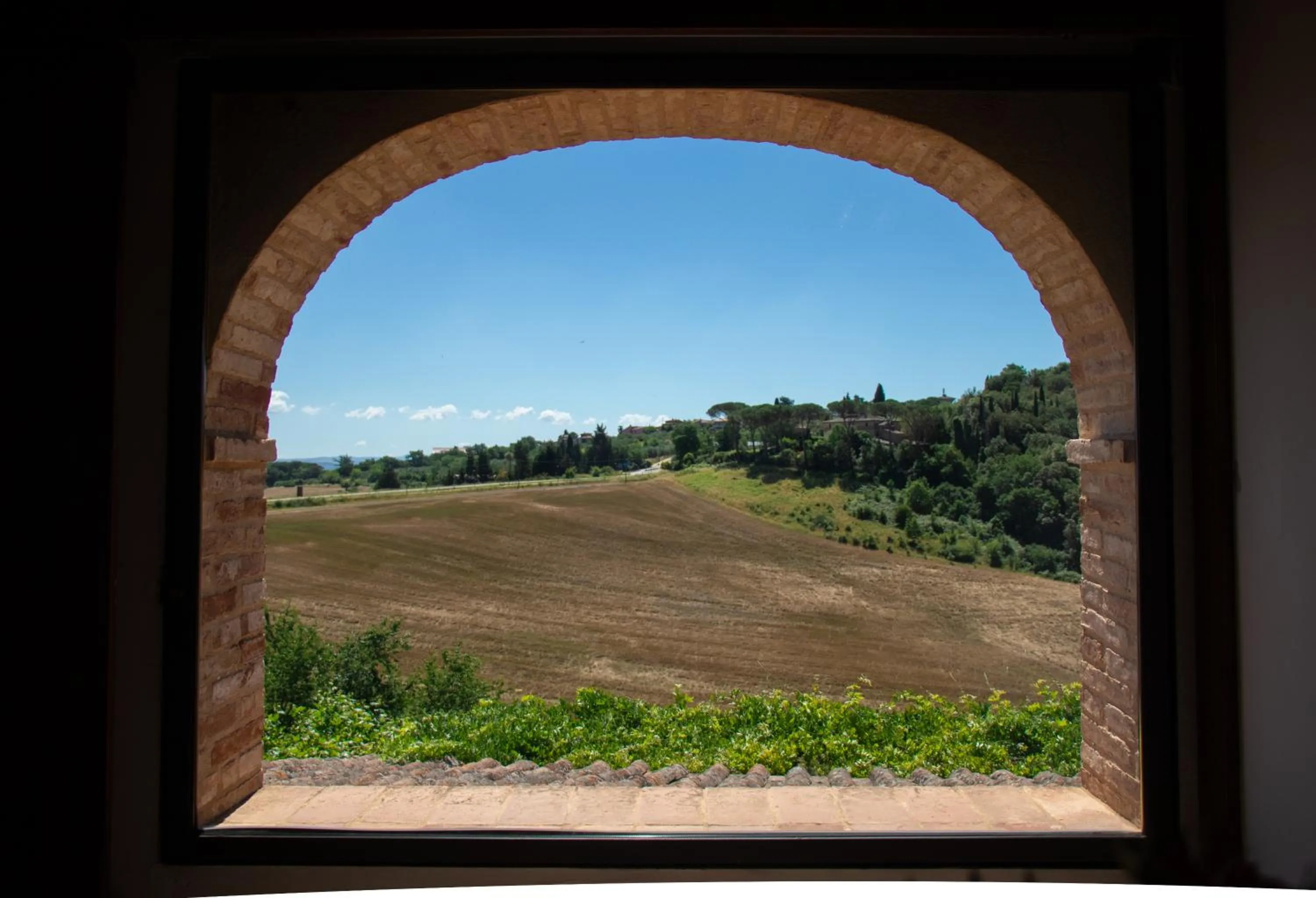 View (from property/room) in Bosco Della Spina