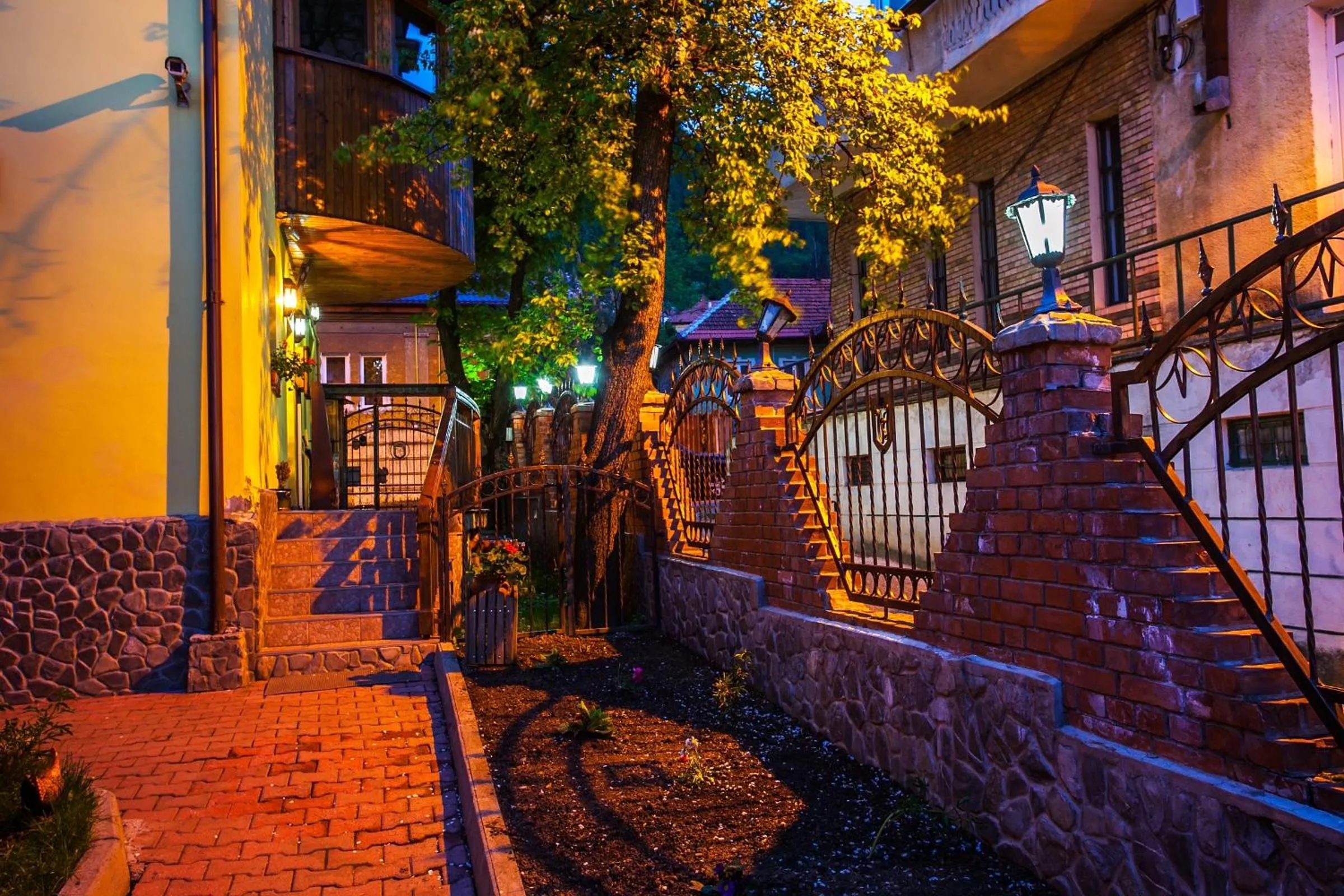 Garden in Pension Brasovu Vechi