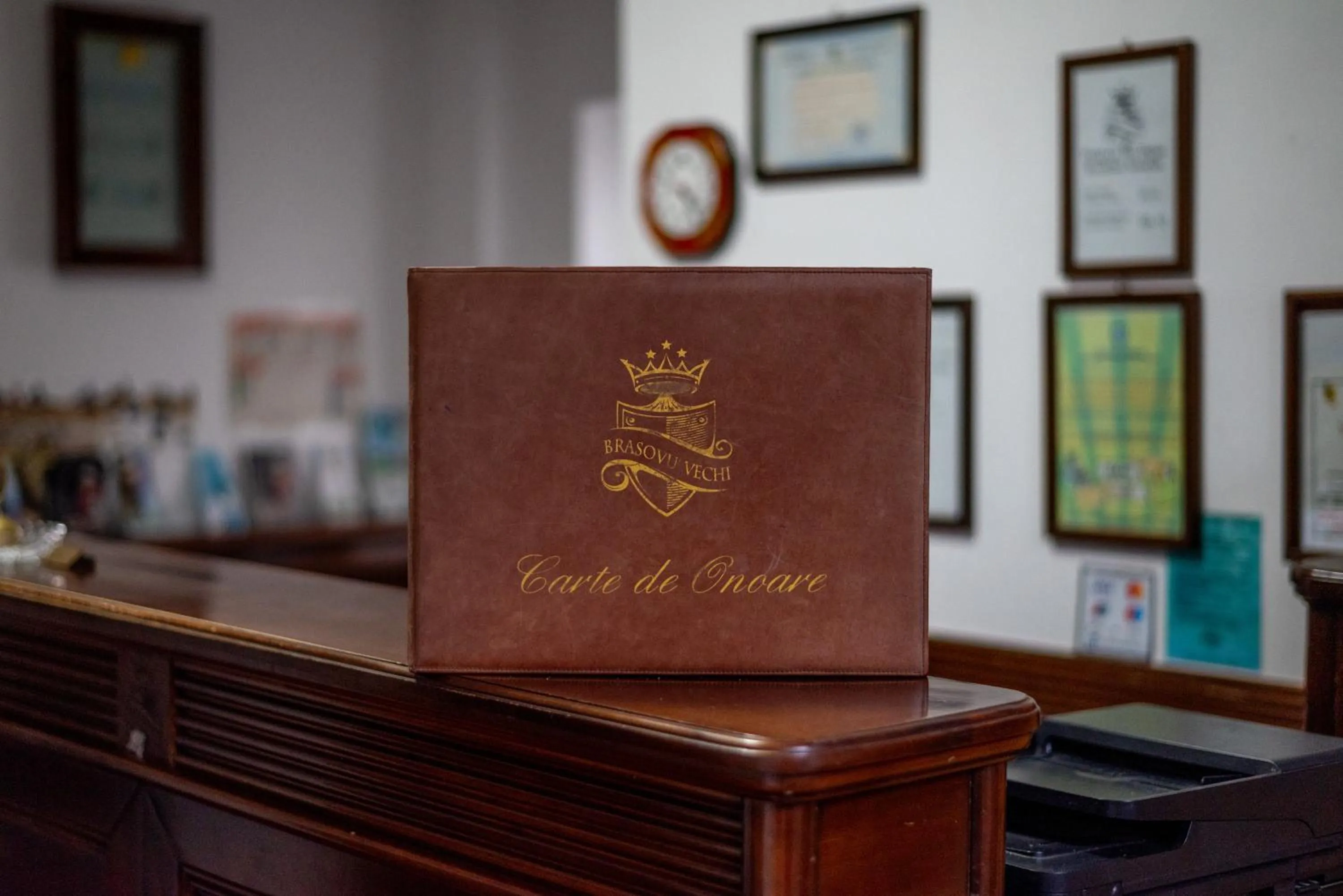 Decorative detail in Pension Brasovu Vechi