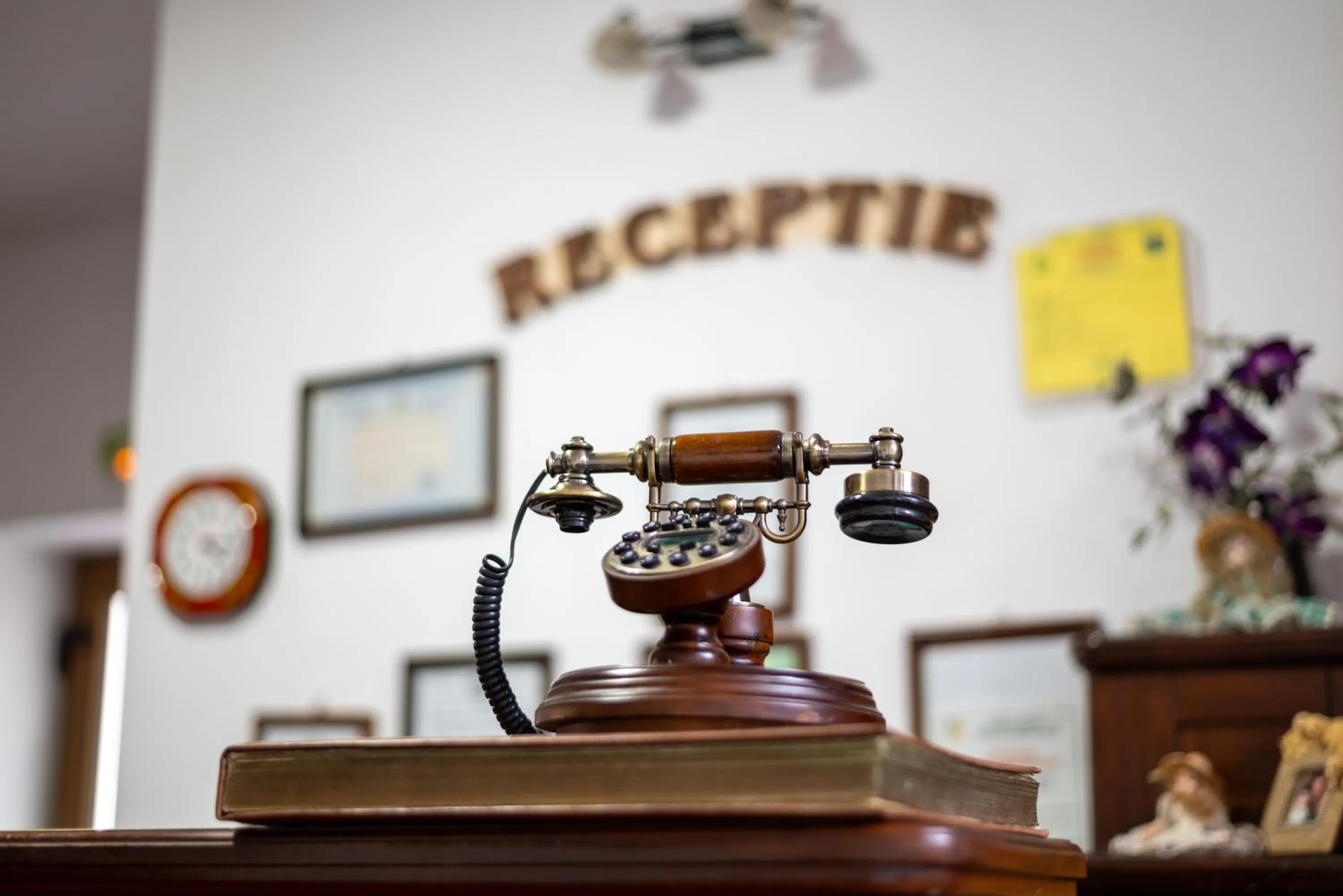 Decorative detail in Pension Brasovu Vechi