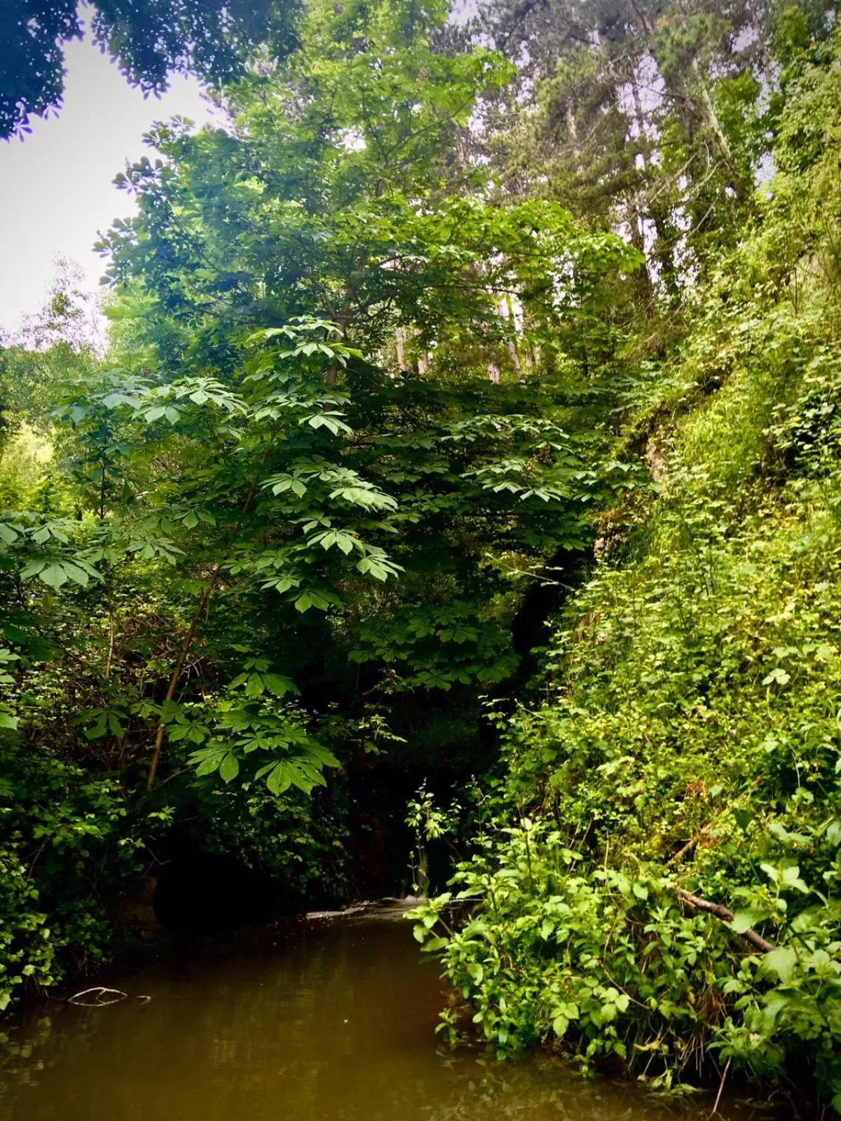 Las Huellas de Cameros