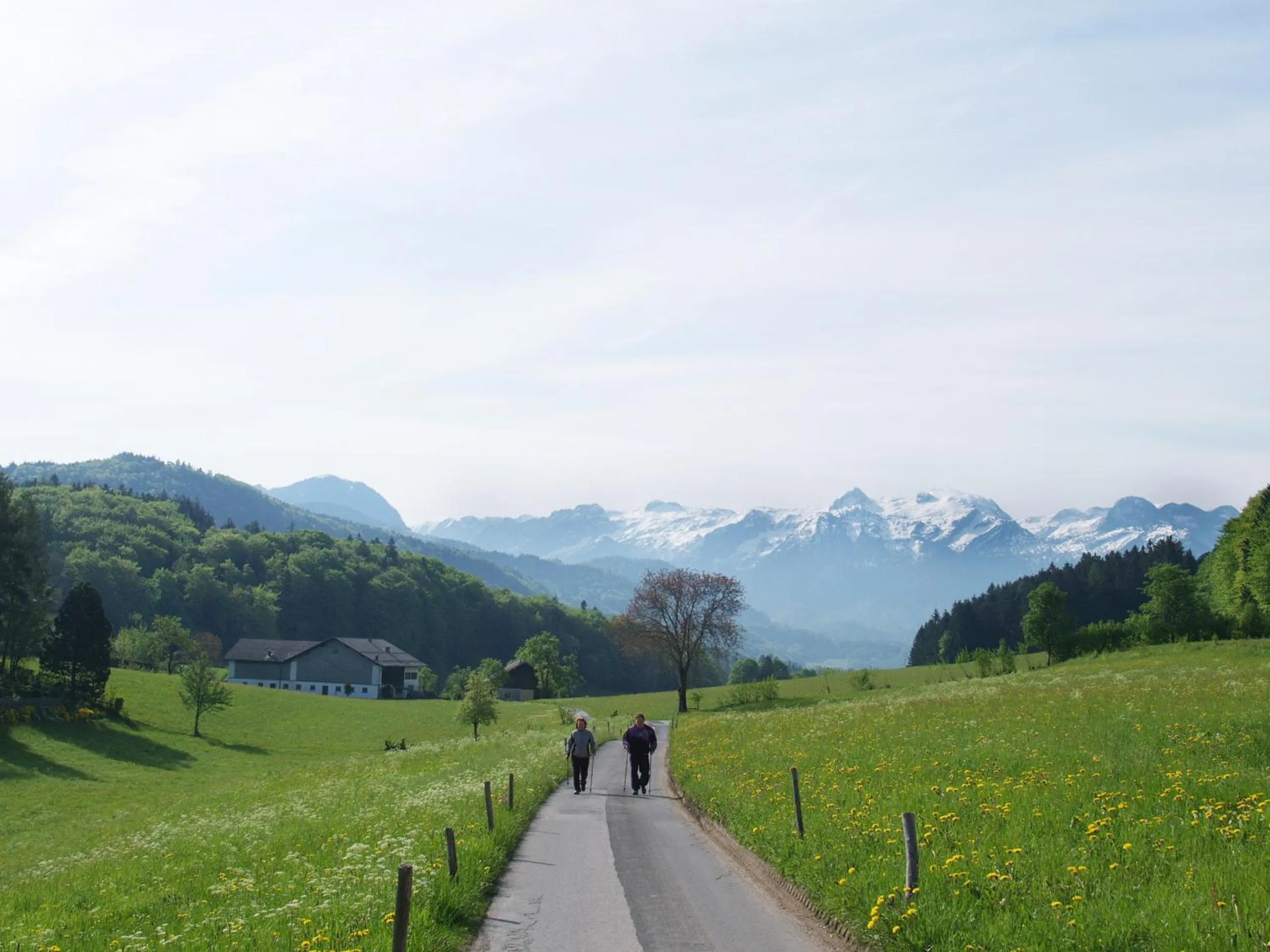 Hiking in NEUWIRT - Boutiquehotel & Wirtshaus