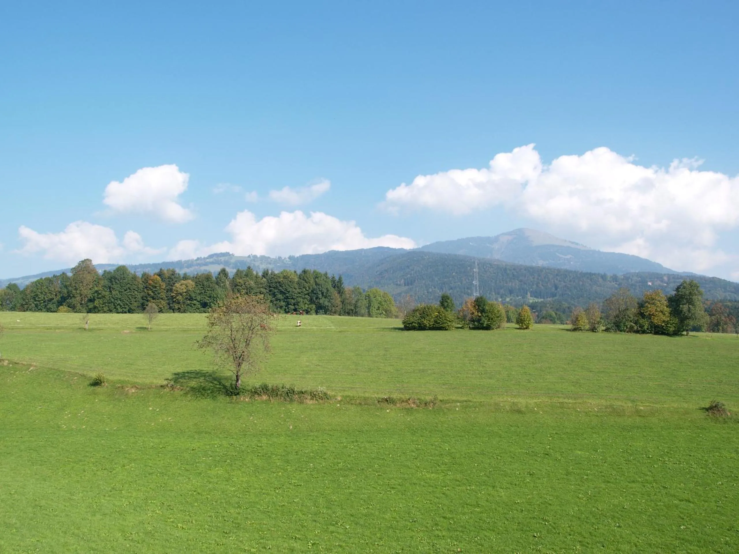 Natural landscape in NEUWIRT - Boutiquehotel & Wirtshaus