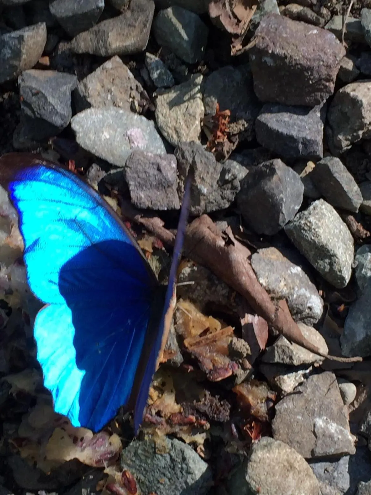 Hotel Casa Conley Del Mar