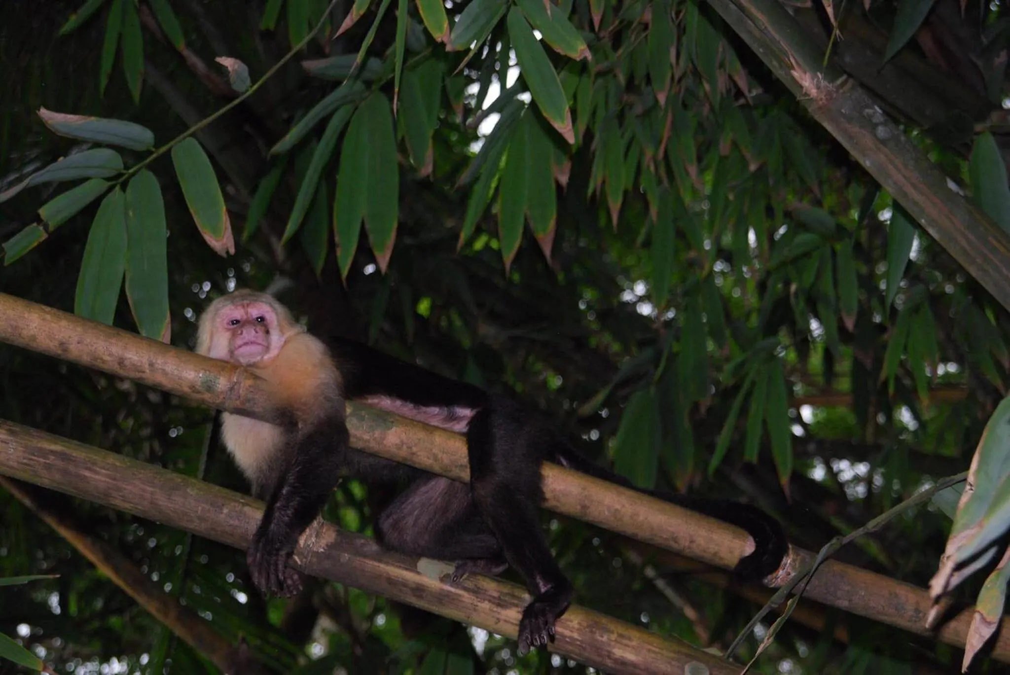 Hotel Casa Conley Del Mar