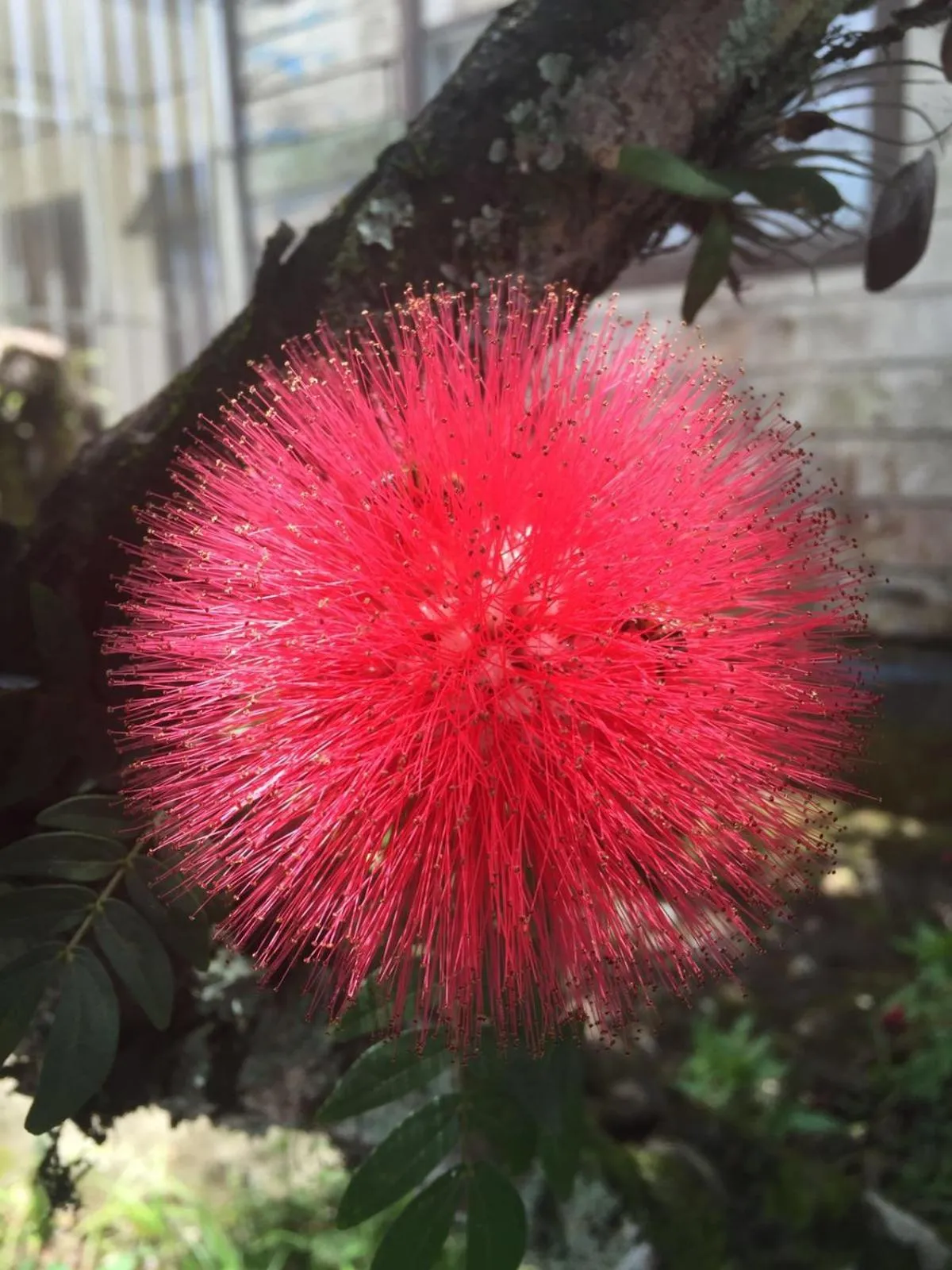 Hotel Casa Conley Del Mar