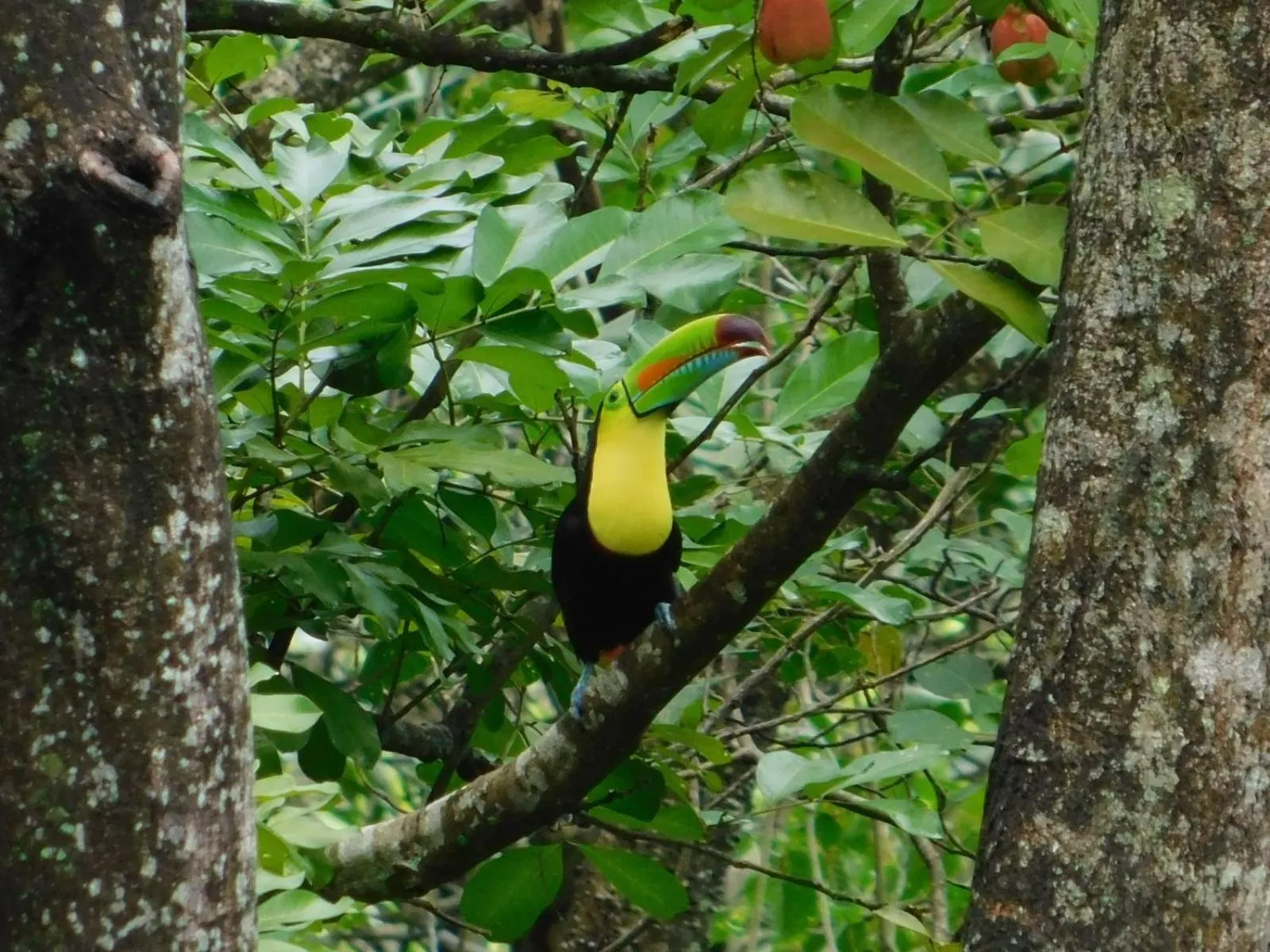 Hotel Casa Conley Del Mar