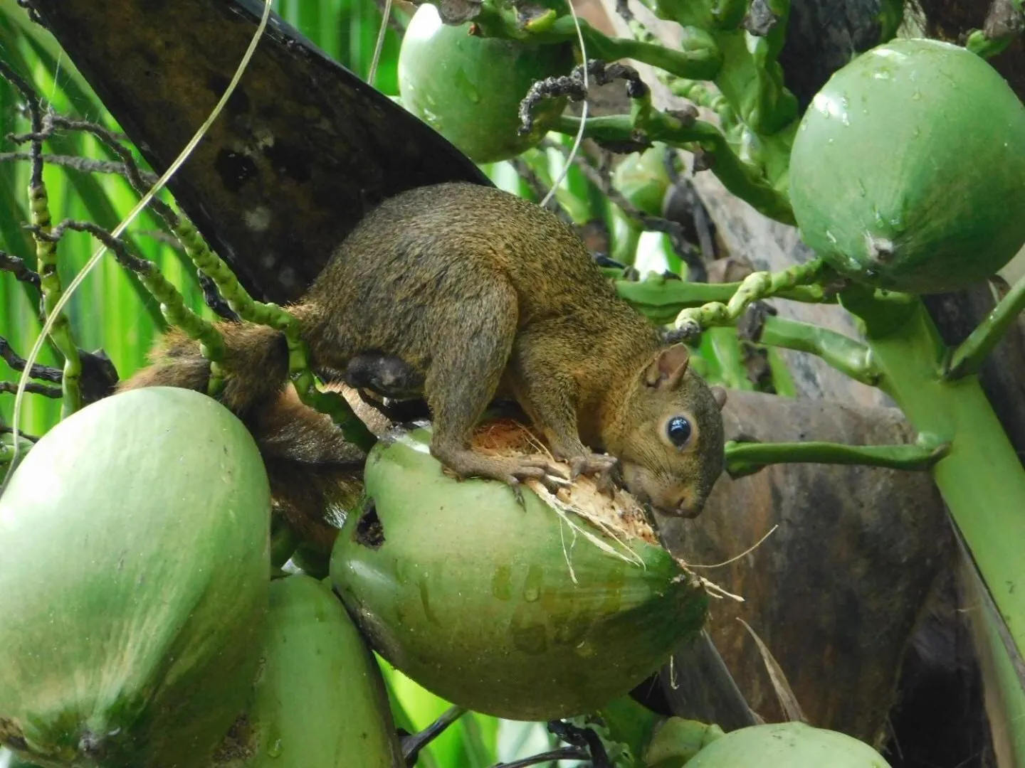 Hotel Casa Conley Del Mar