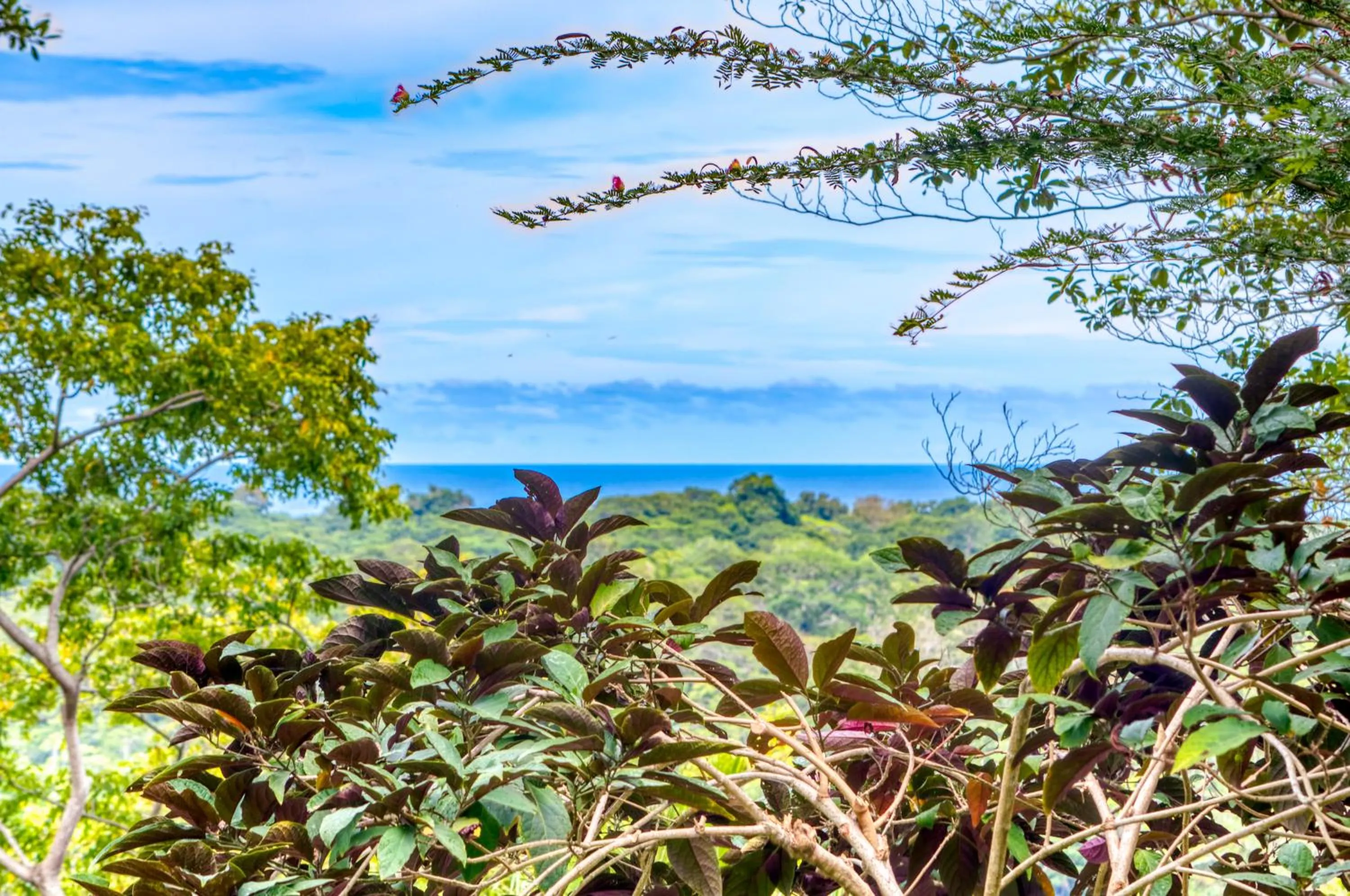 Hotel Casa Conley Del Mar