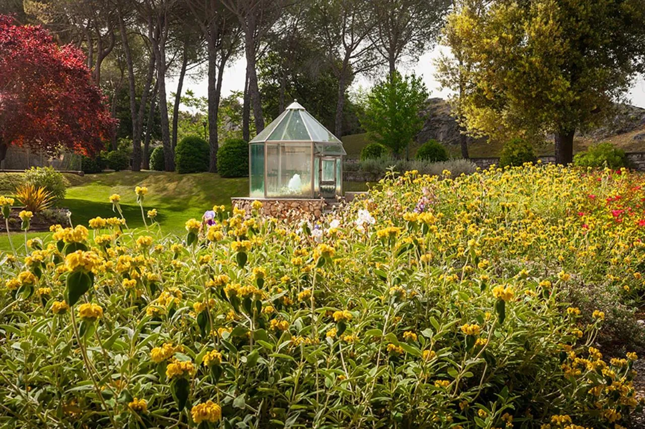 Hot Spring Bath in San Giovanni Terme Rapolano