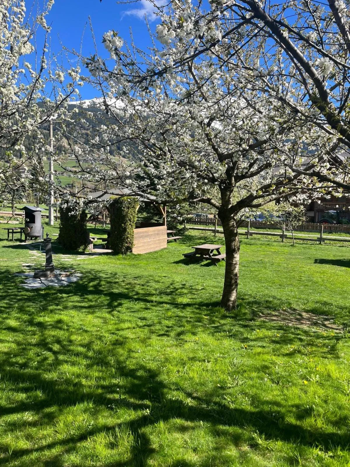 Garden in Chalet Stelle Di Neve