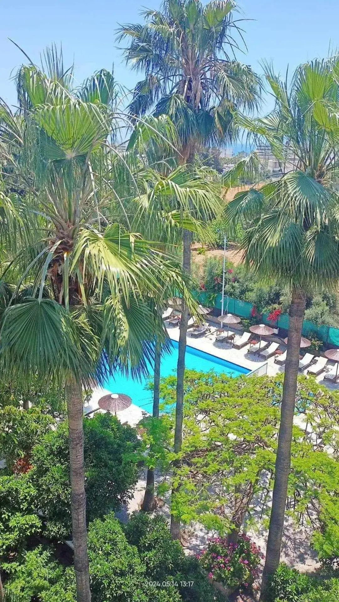 Pool view in Veronica Hotel Pool view in Veronica Hotel