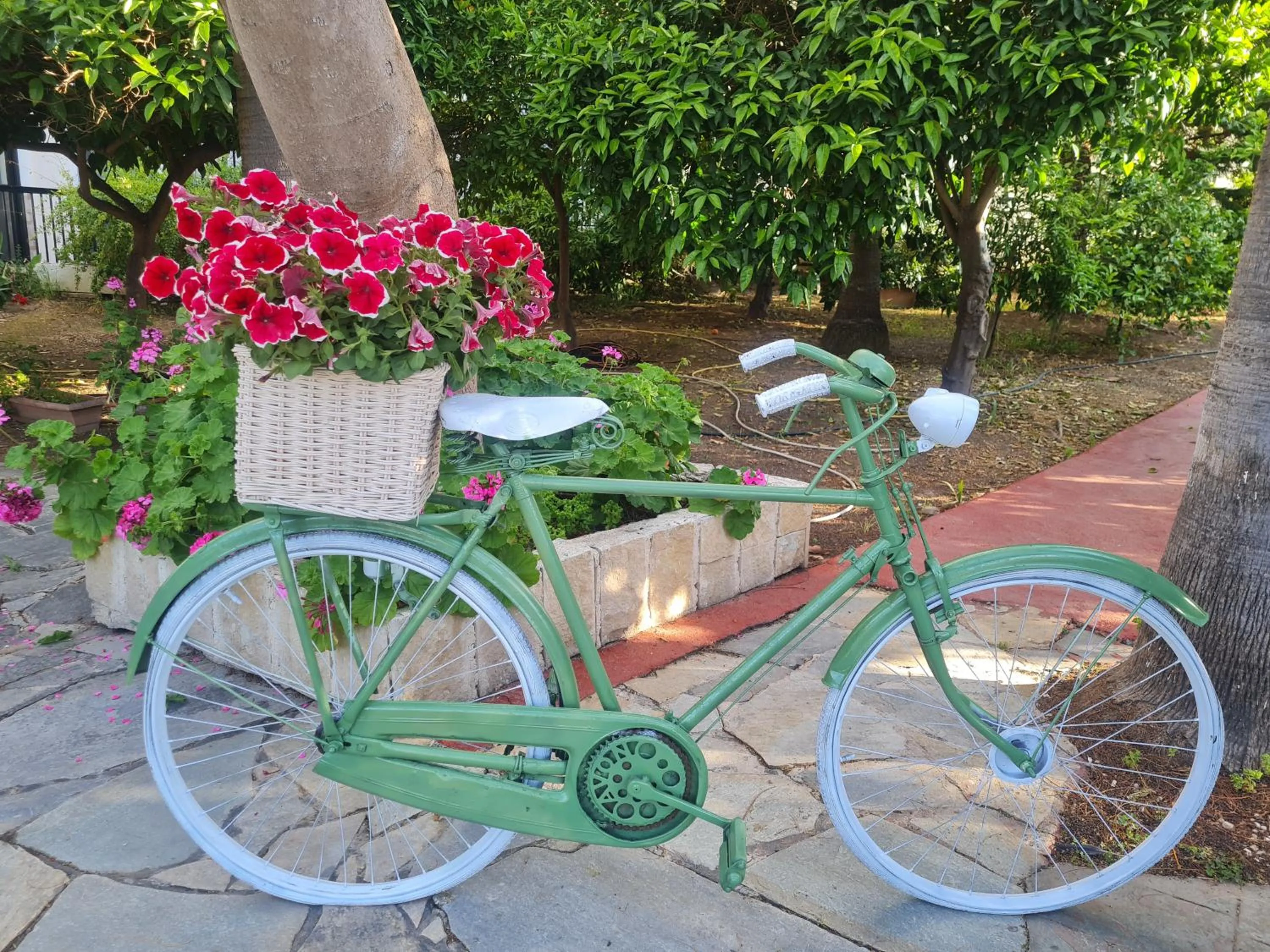 Garden in Veronica Hotel