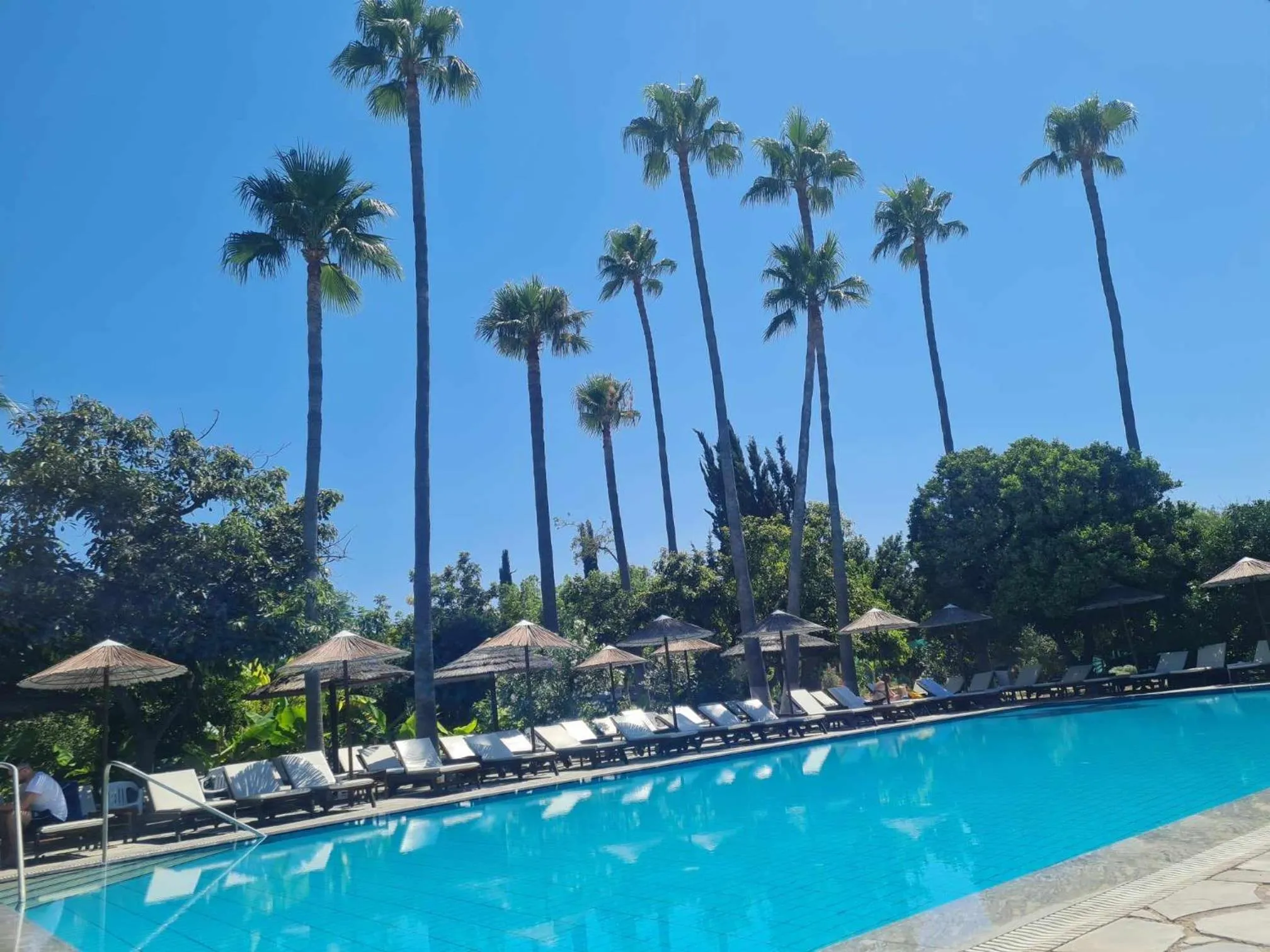 Swimming pool in Veronica Hotel