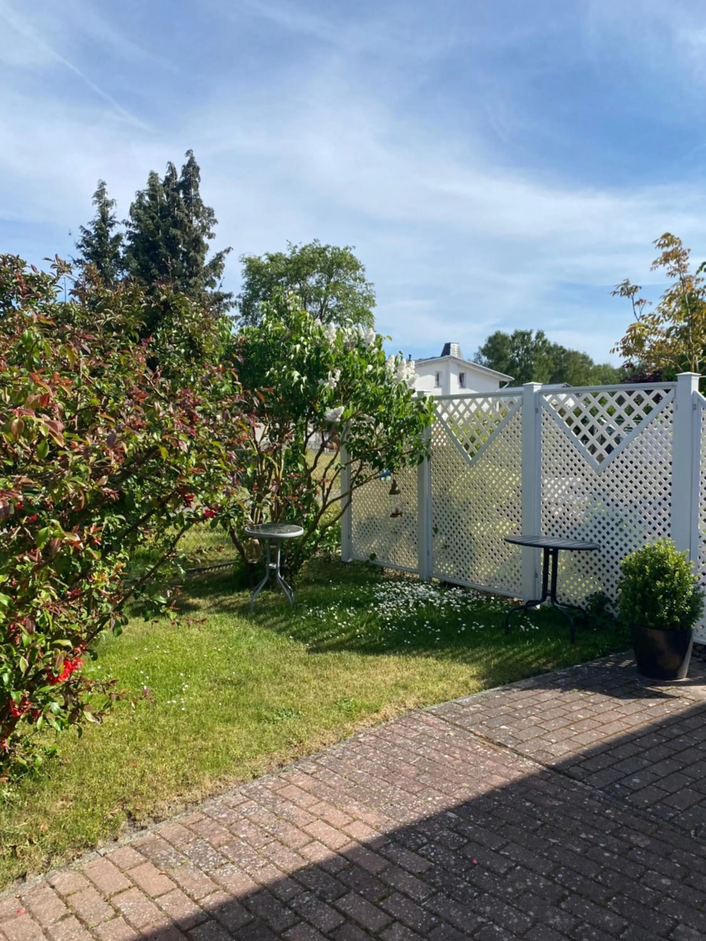 Spring in Strandkojen