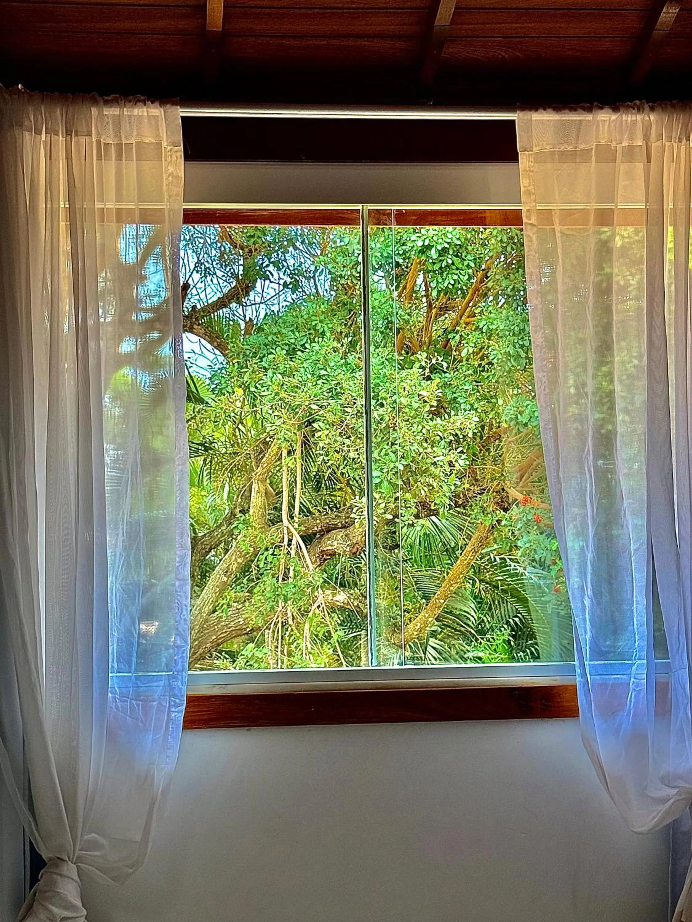 Natural landscape in Villa Baobá Pousada & Spa