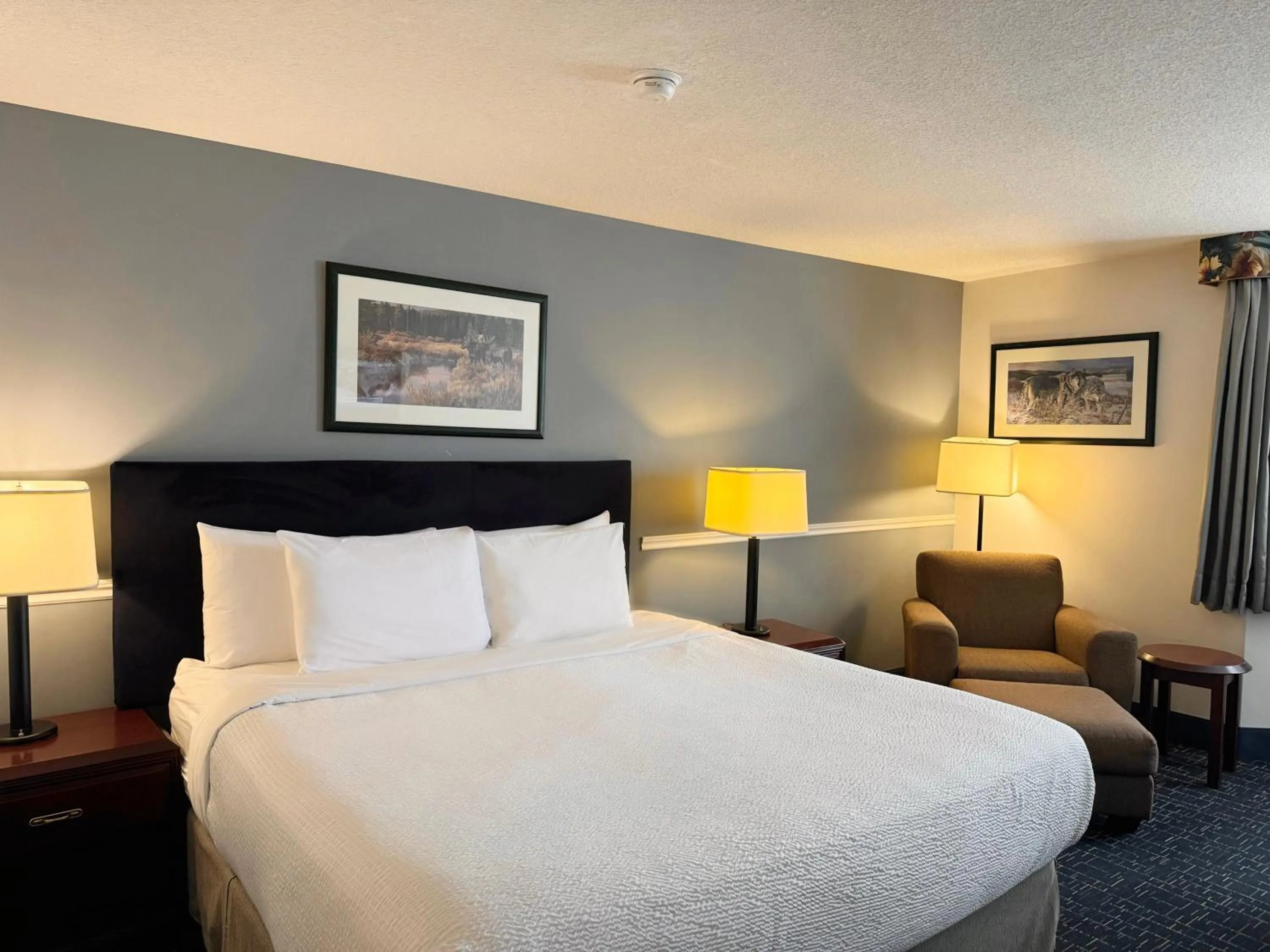 Bed in Divya Sutra Plaza and Conference Centre Calgary Airport