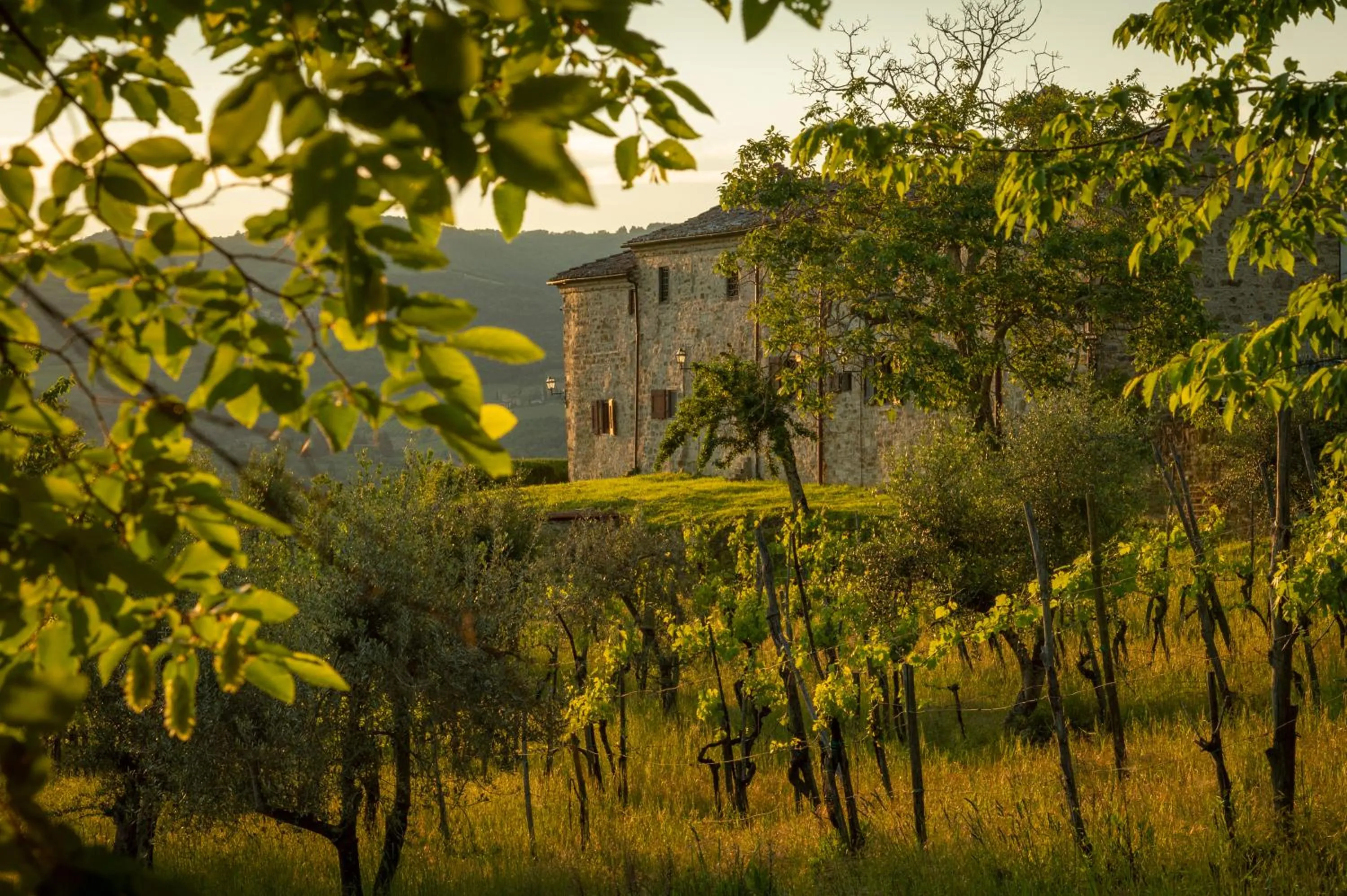 Property building in La Rimbecca Greve in Chianti