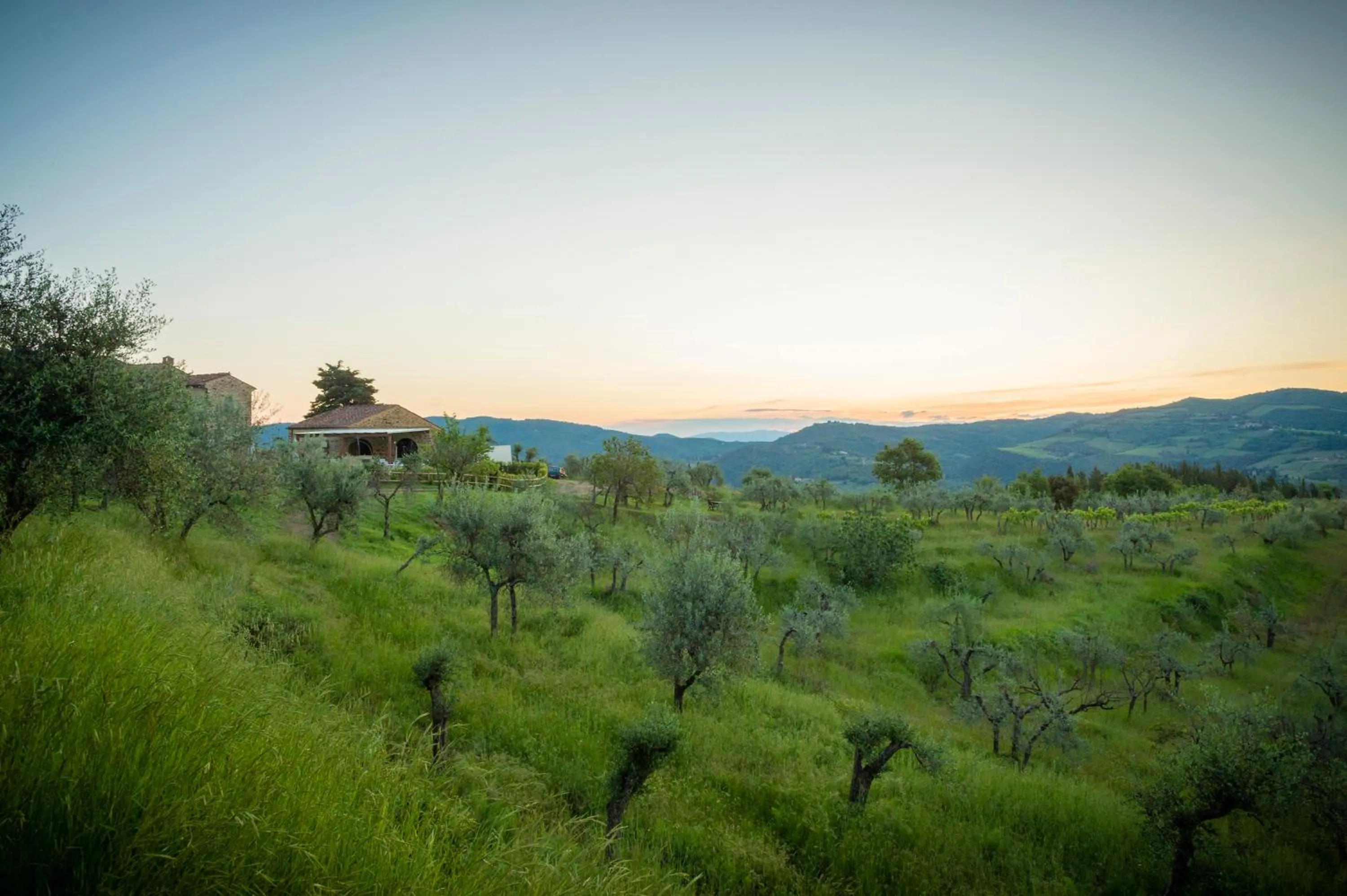 Natural landscape in La Rimbecca Greve in Chianti