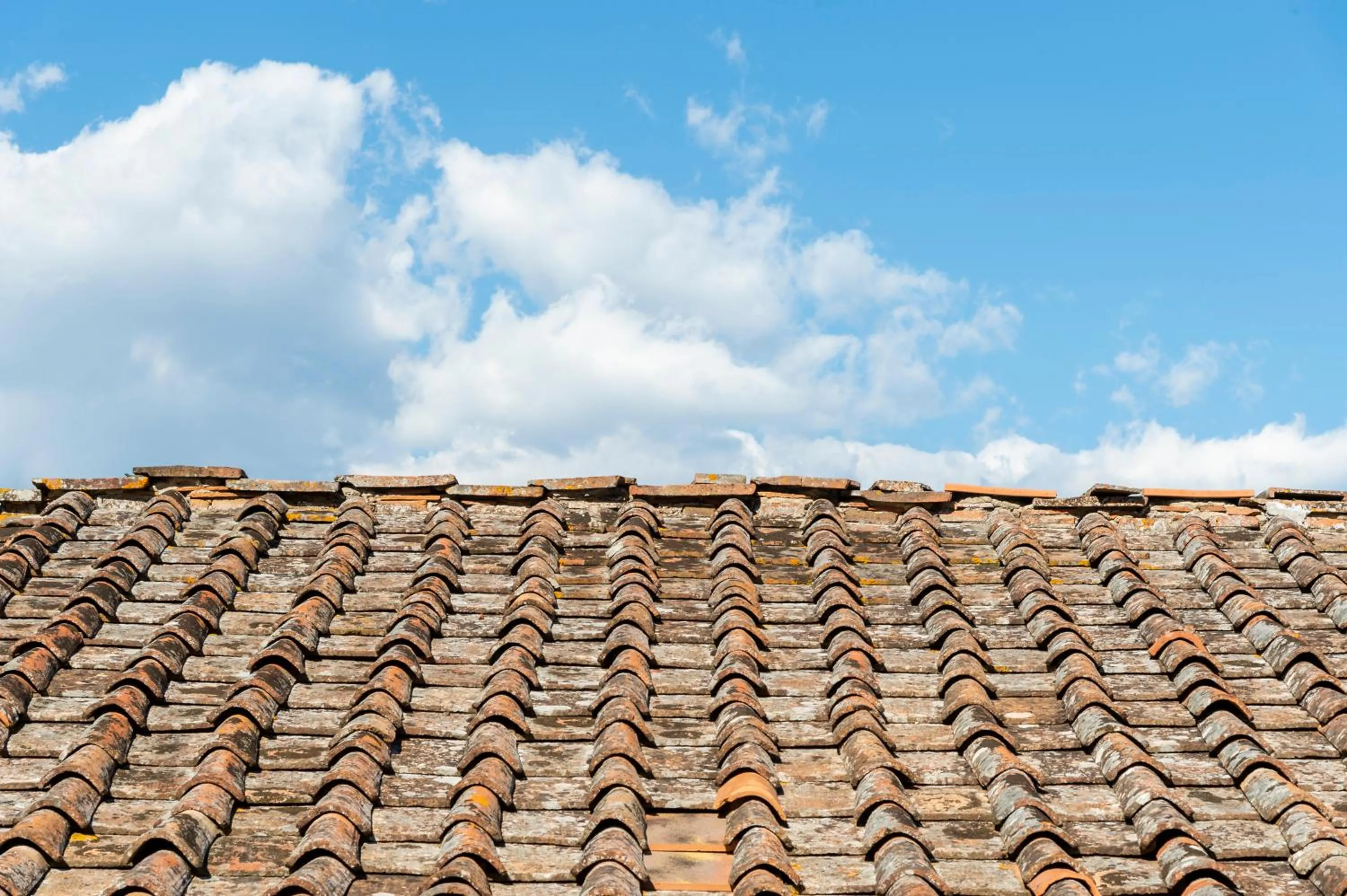 Natural landscape in La Rimbecca Greve in Chianti