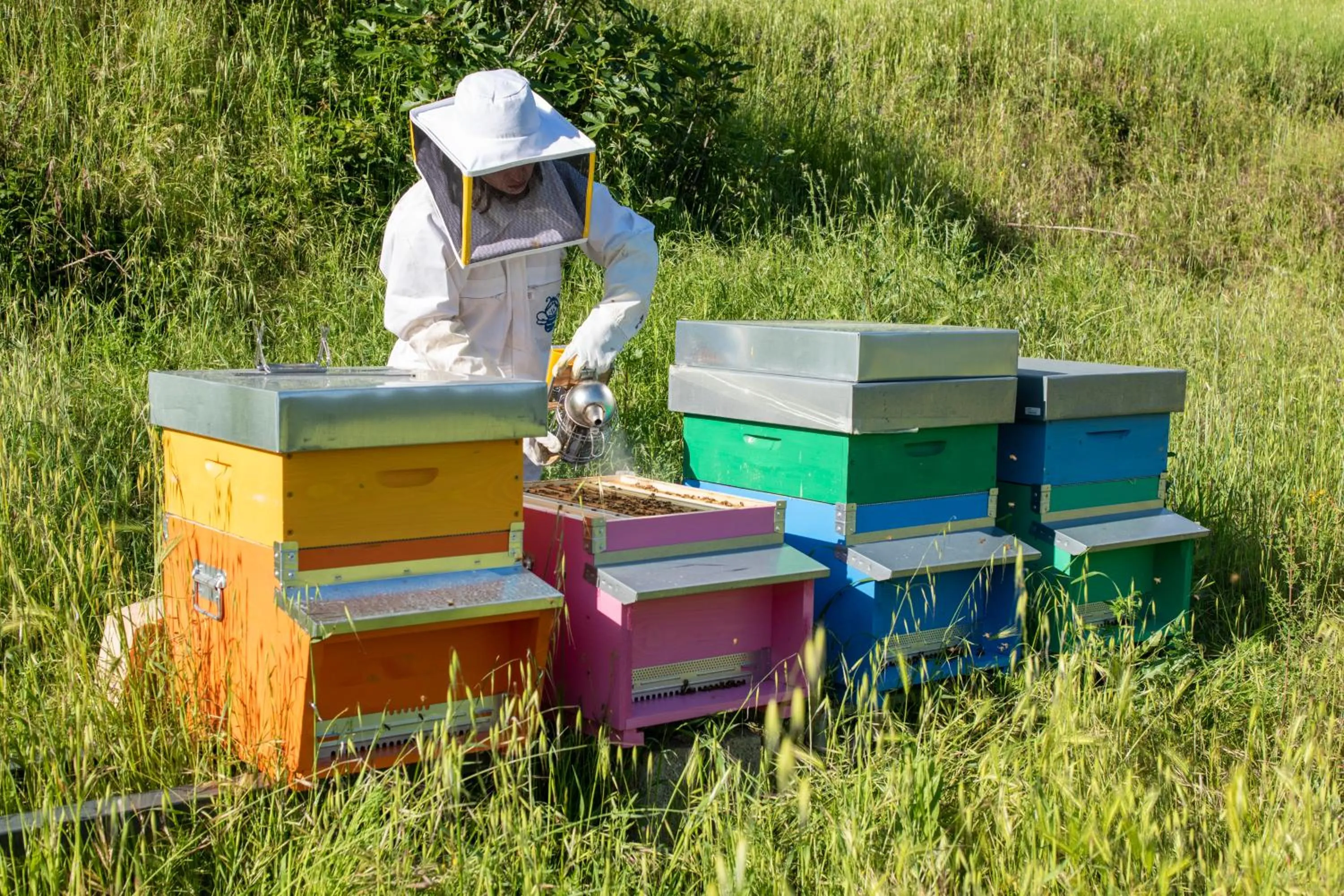 Animals in La Rimbecca Greve in Chianti
