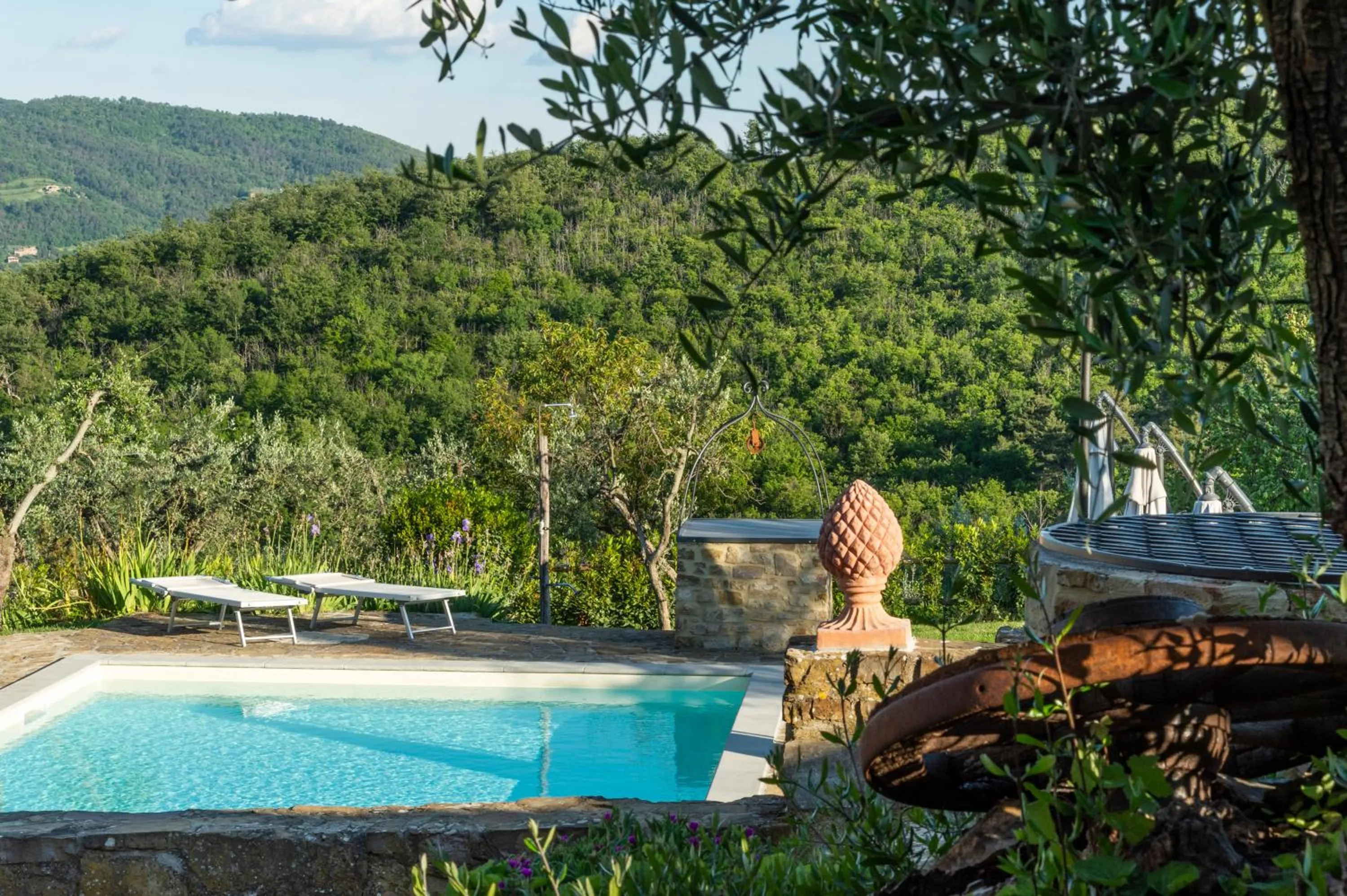 Pool view in La Rimbecca Greve in Chianti