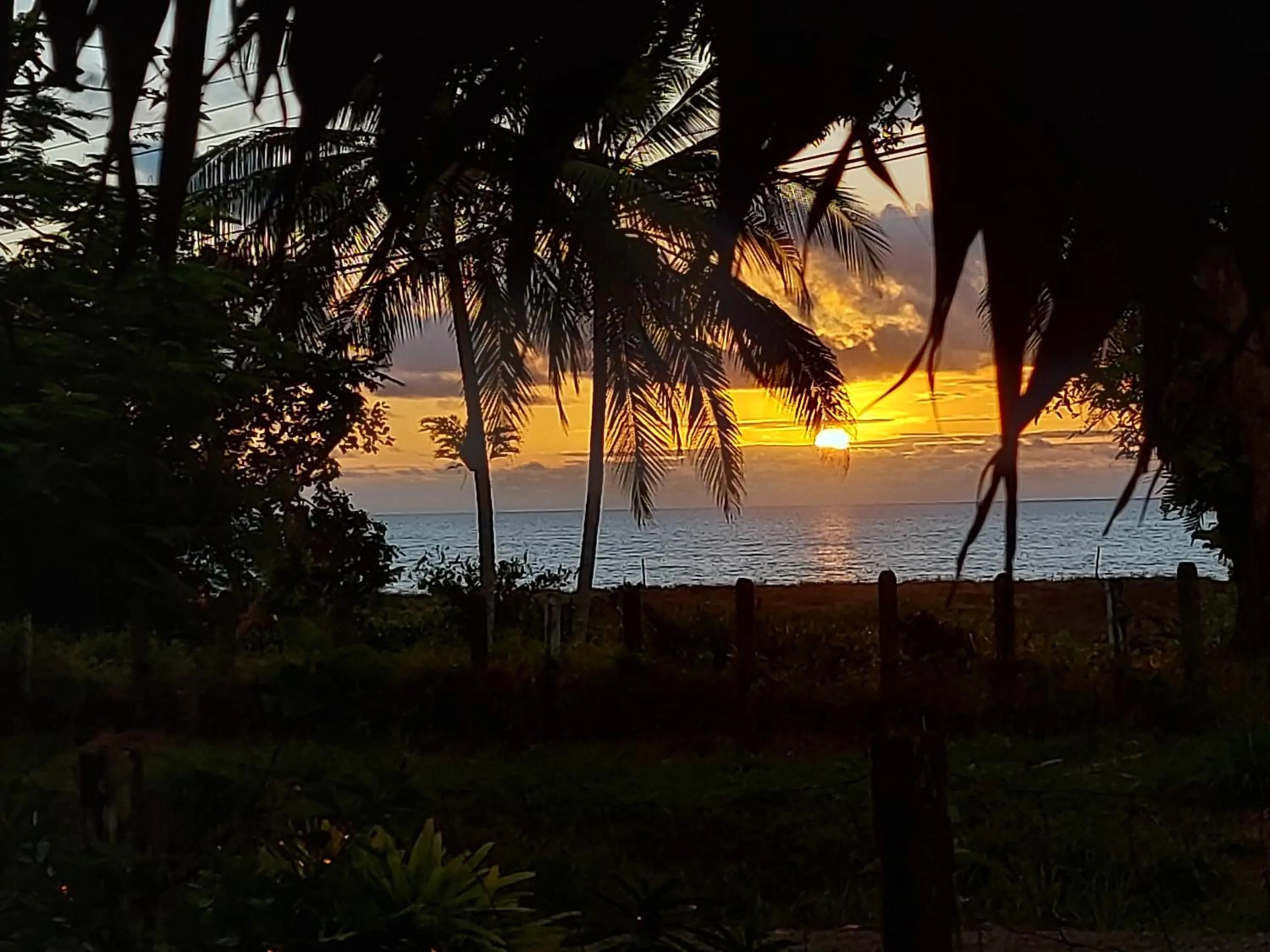 Sea view in Hotel Casa Gitana Corcovado Tour operador