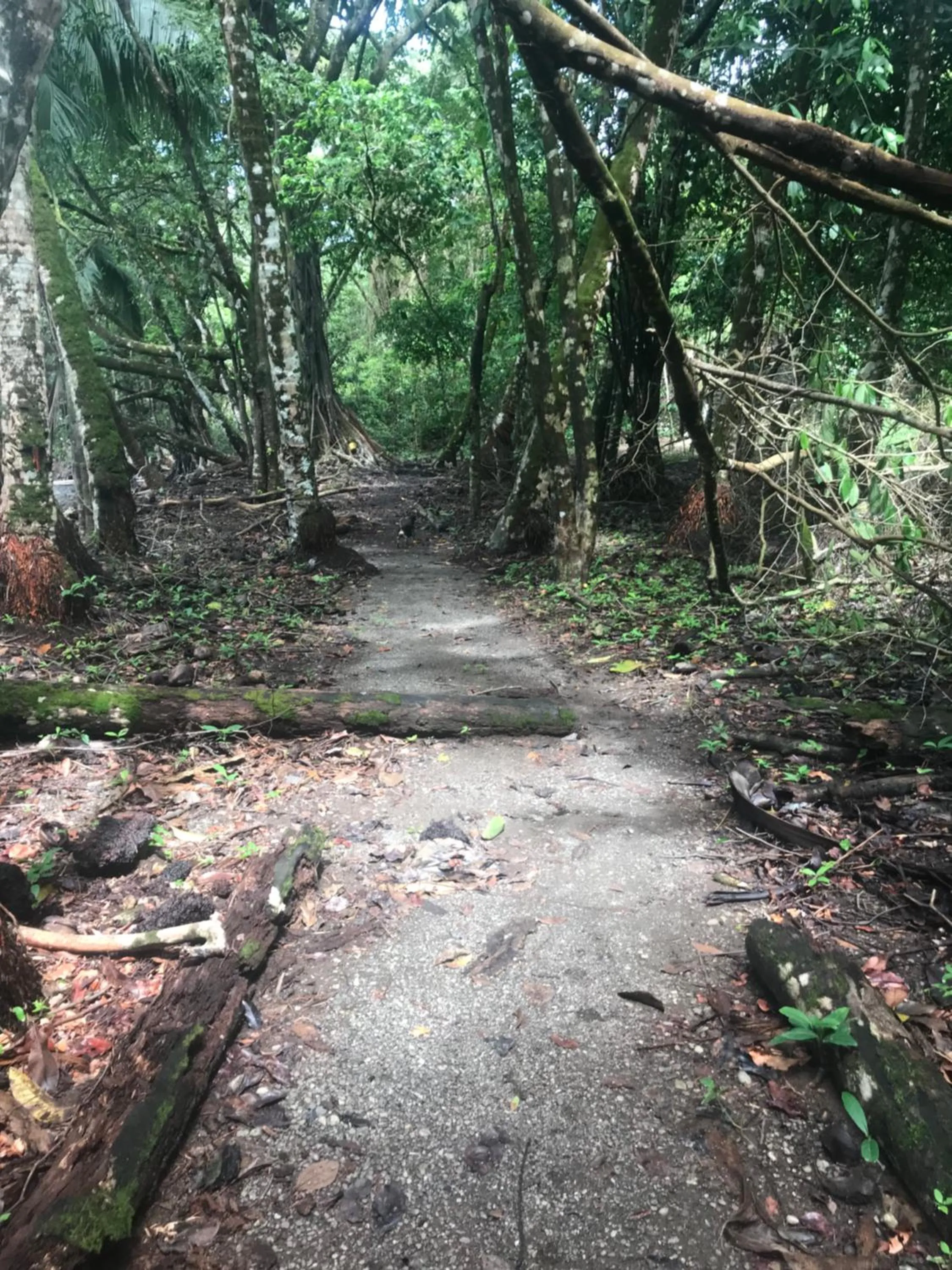 Natural landscape in Hotel Casa Gitana Corcovado Tour operador