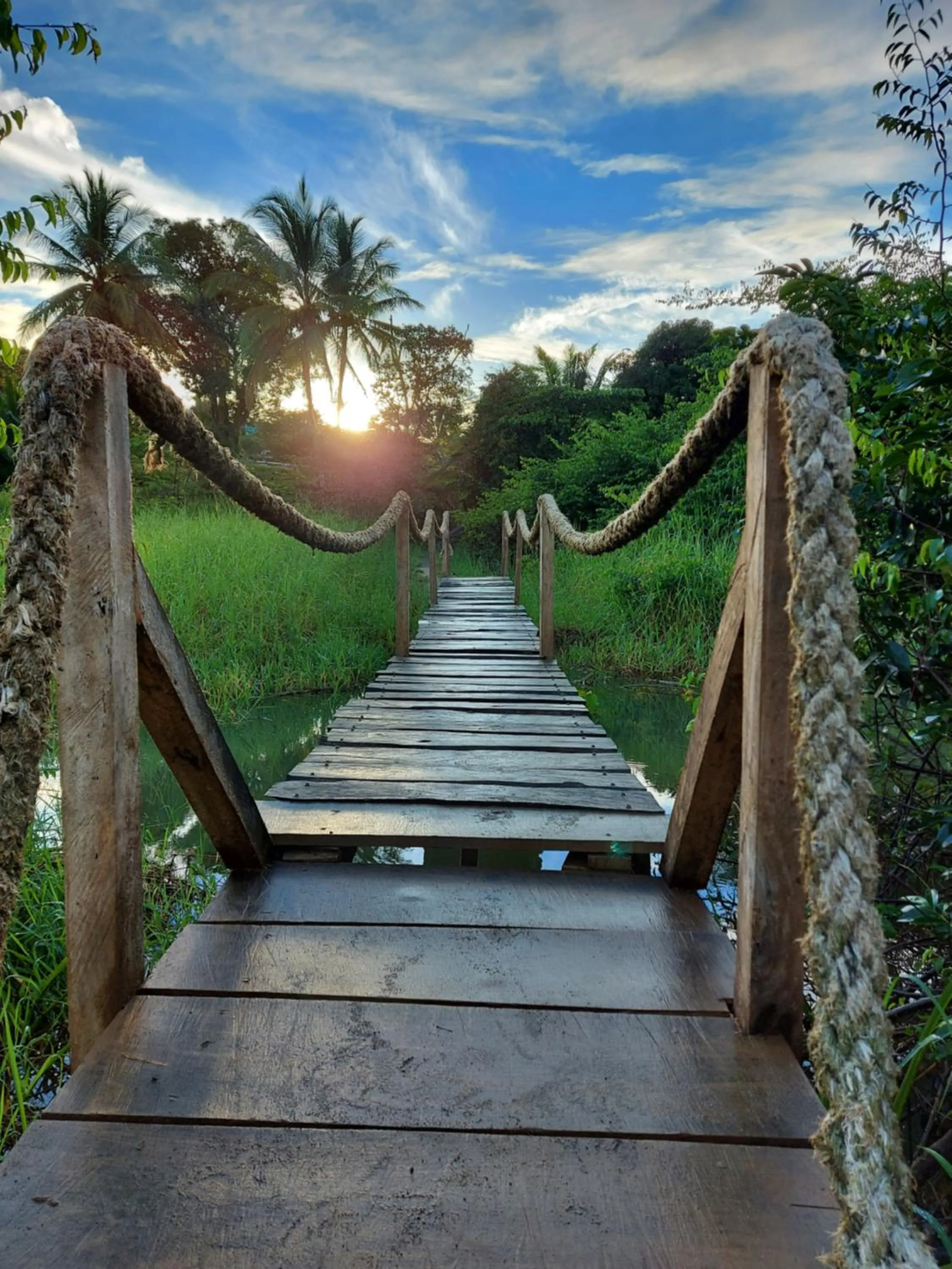Natural landscape in Hotel Casa Gitana Corcovado Tour operador