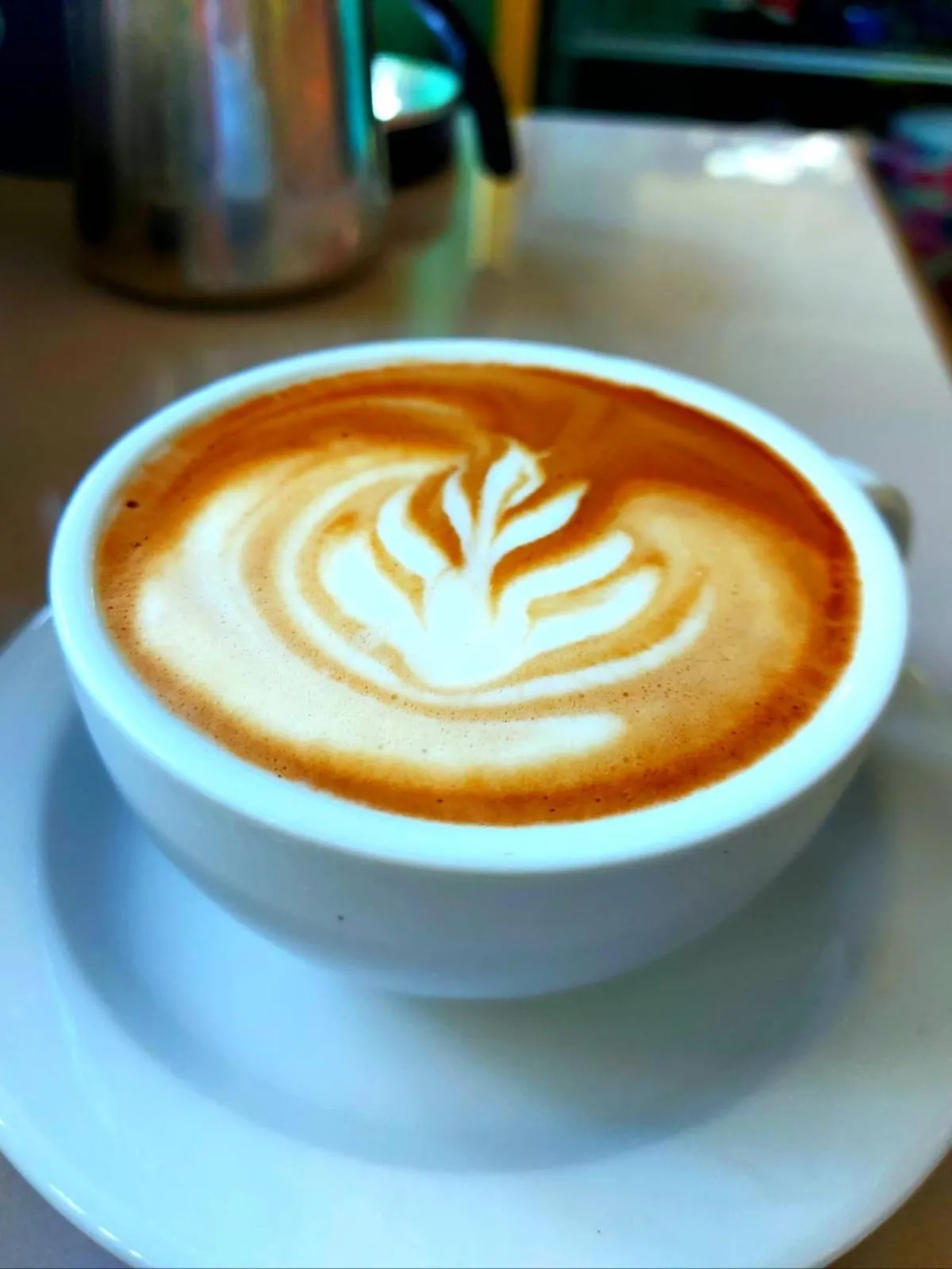 Breakfast in Hotel Casa Gitana Corcovado Tour operador