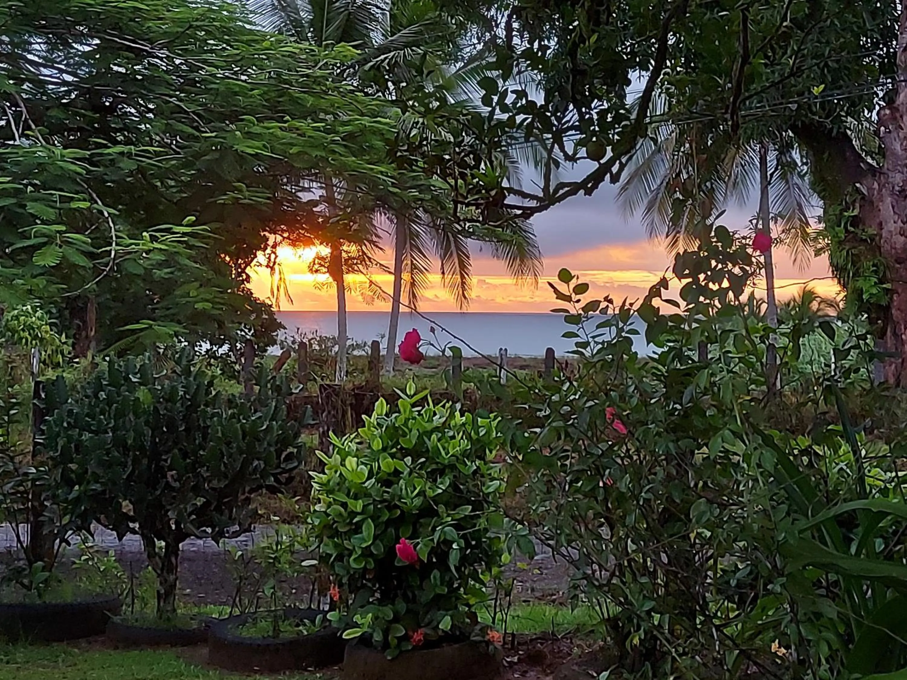 Sea view in Hotel Casa Gitana Corcovado Tour operador