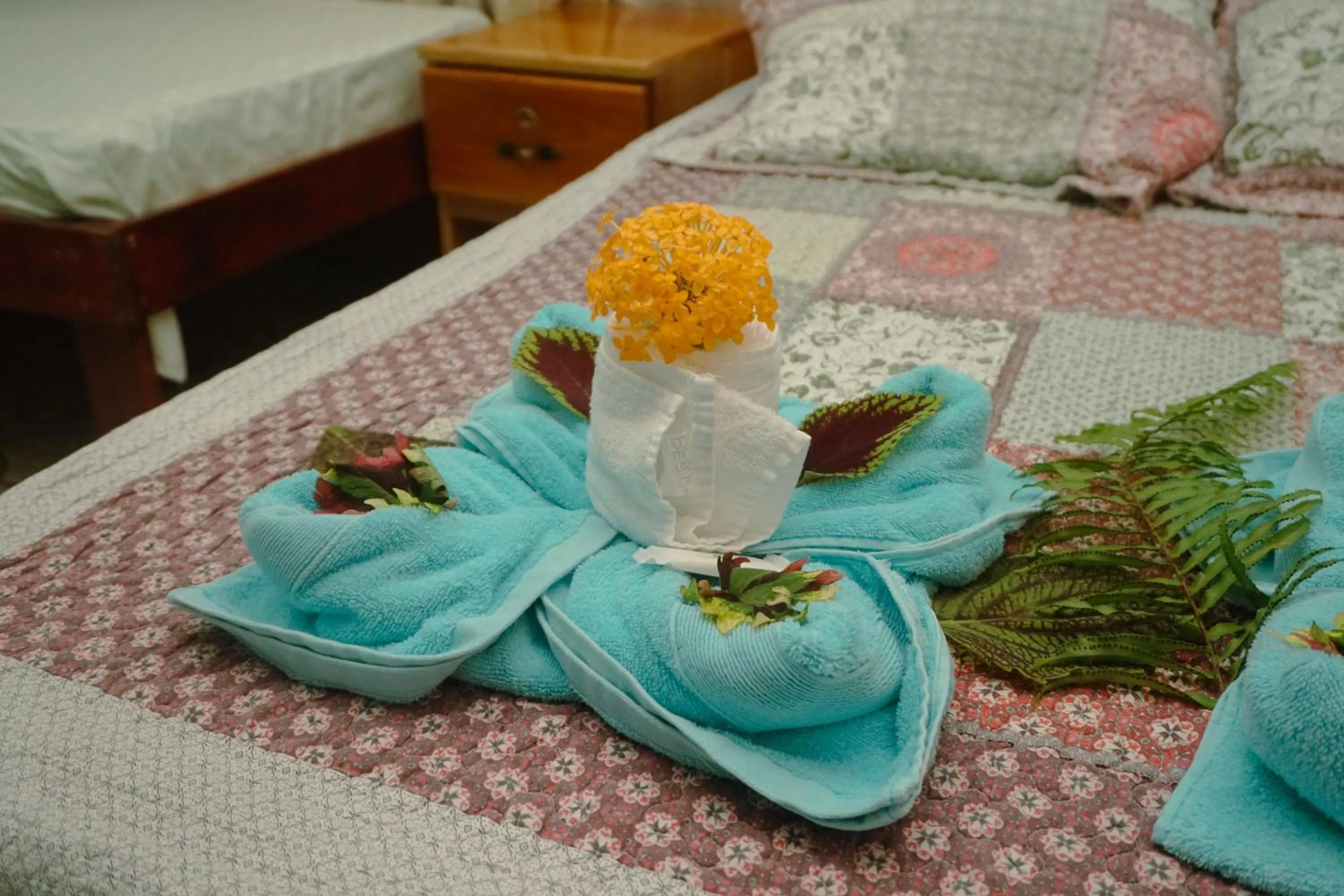 Bed in Hotel Casa Gitana Corcovado Tour operador