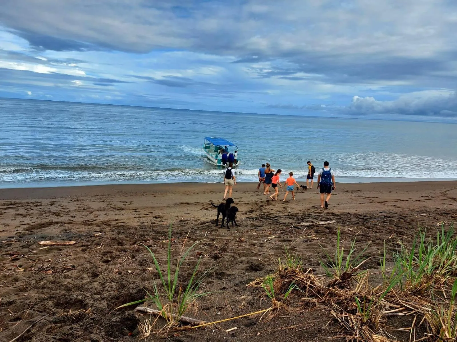 Beach in Hotel Casa Gitana Corcovado Tour operador